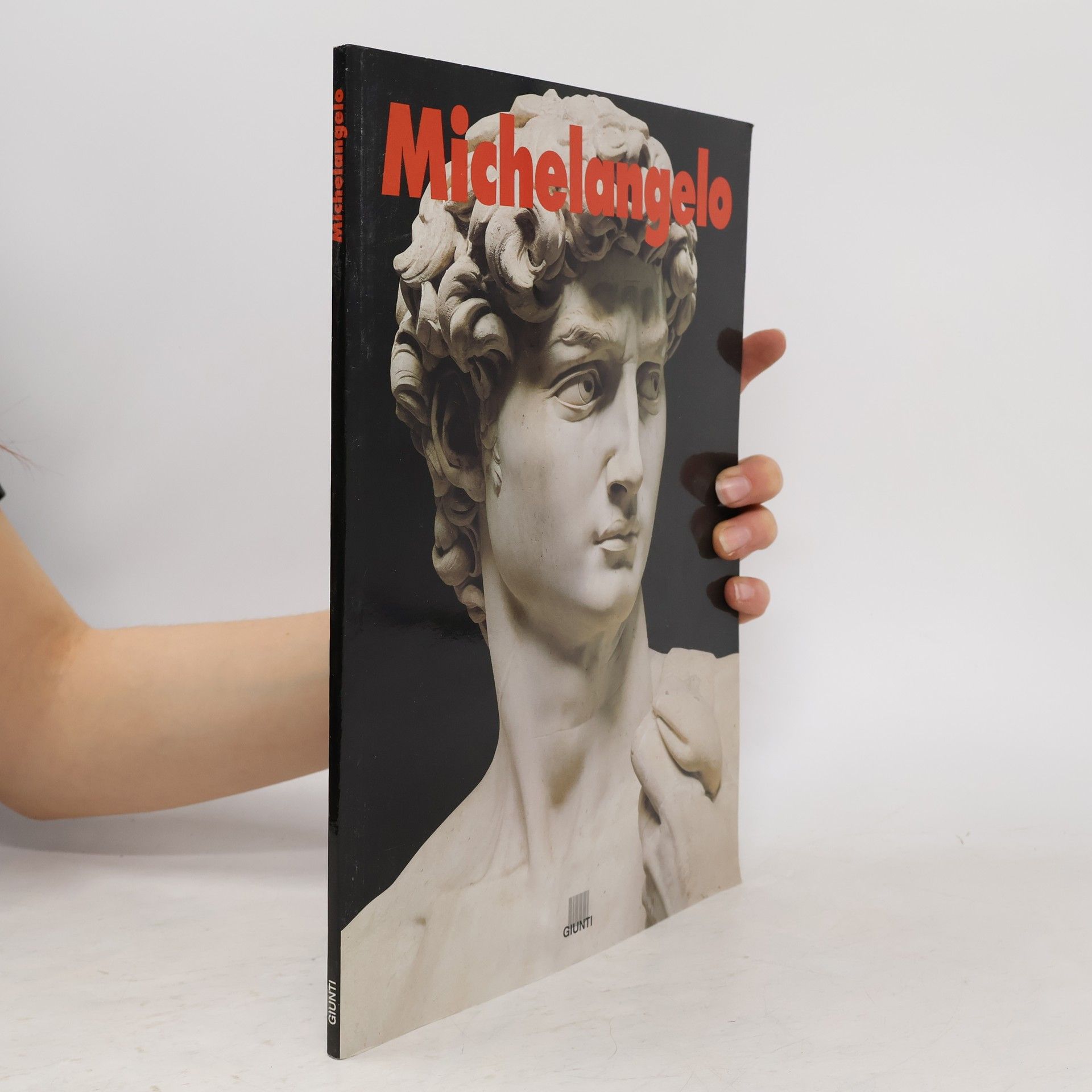 Marco Bussagli Michelangelo