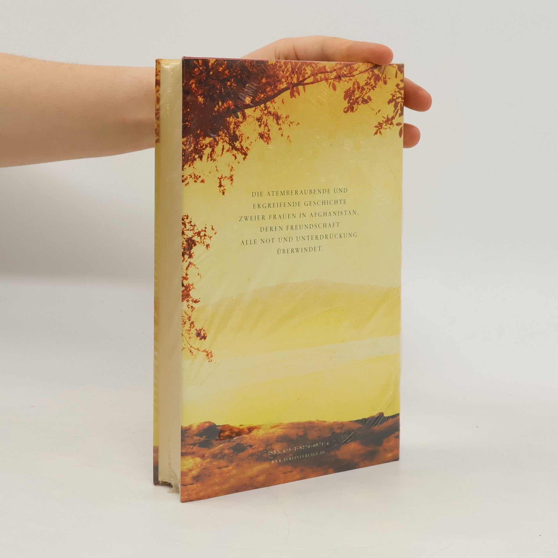 Khaled Hosseini Tausend strahlende Sonnen