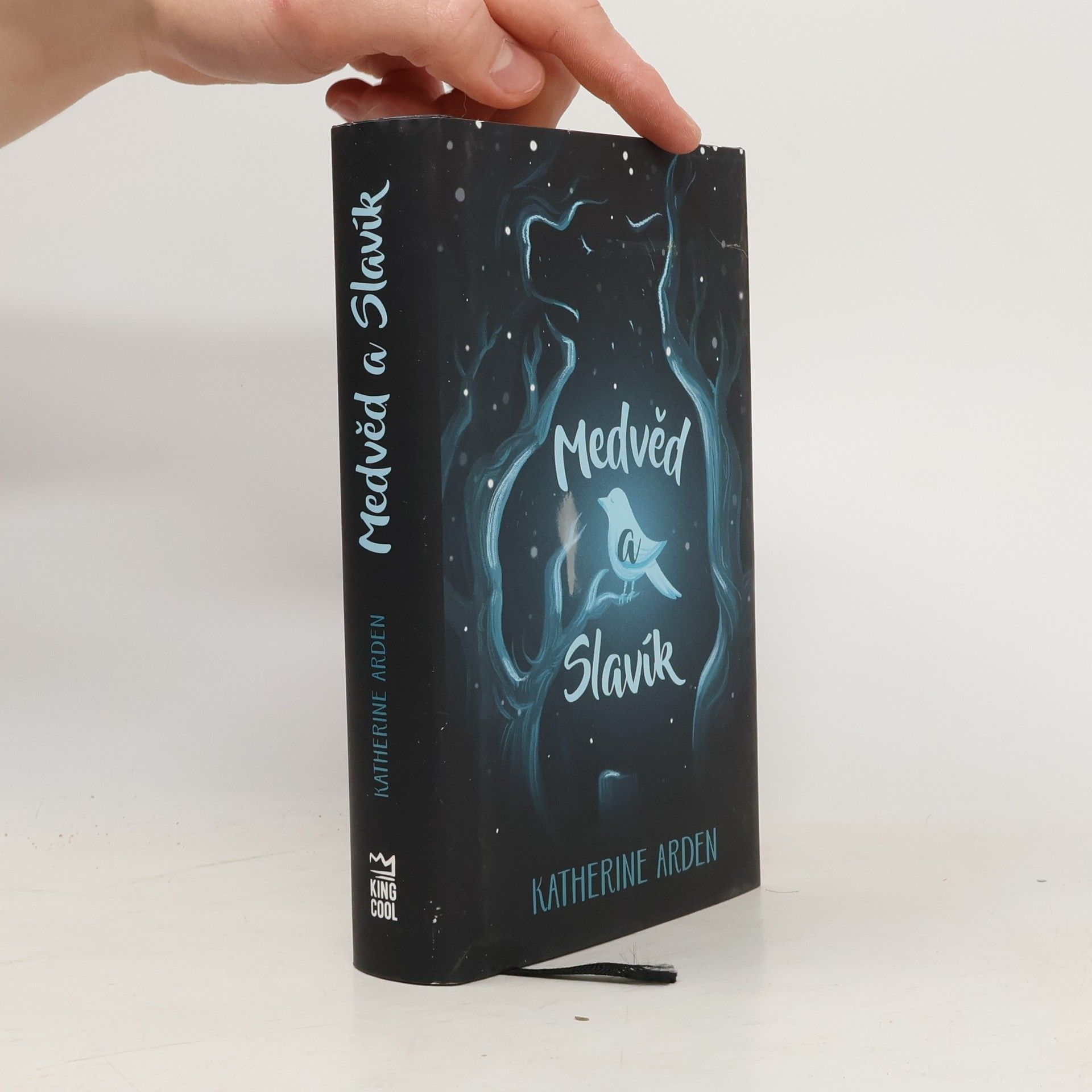 Katherine Arden Medvěd a Slavík