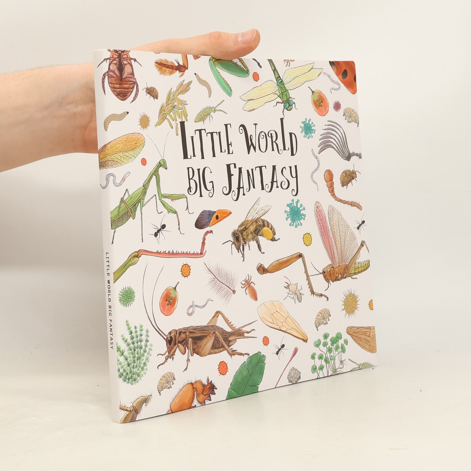 Autorenkollektiv Little World Big Fantasy