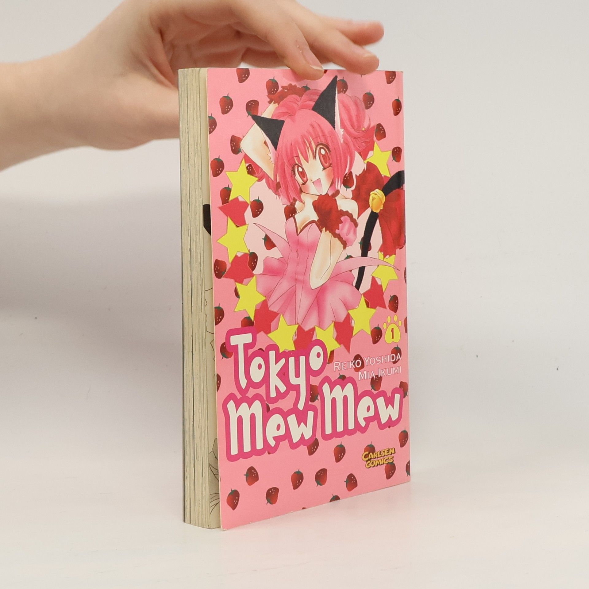 Reiko Yoshida Tokyo-mew-mew 1