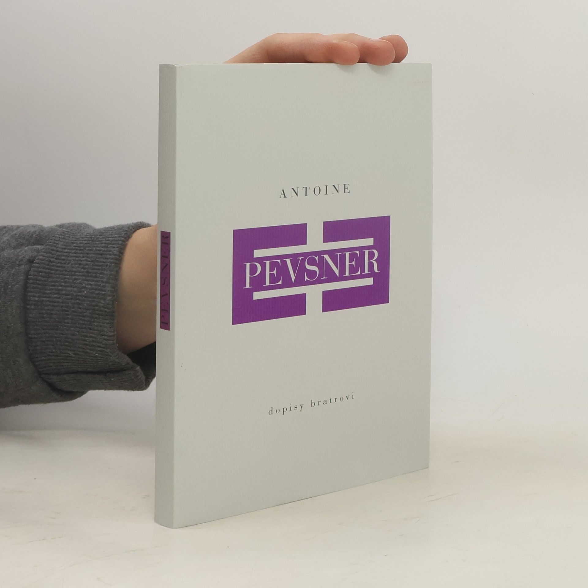 Antoine Pevsner Dopisy bratrovi