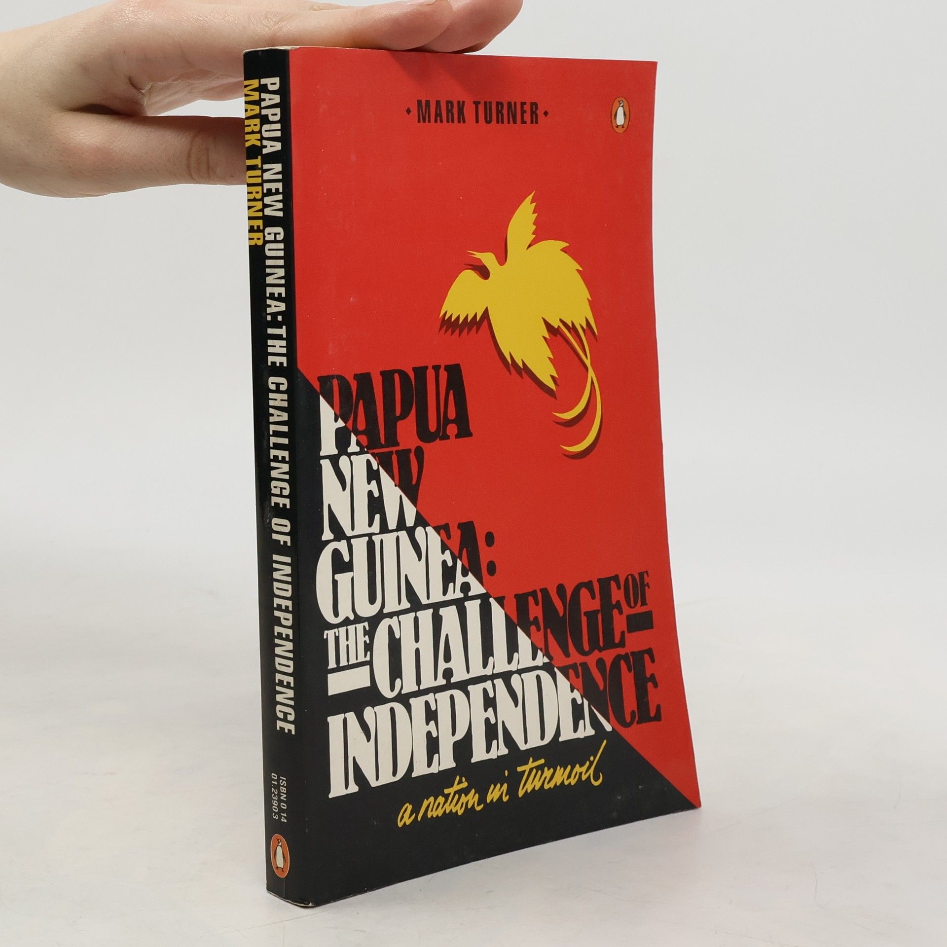 Mark Turner Papua New Guinea