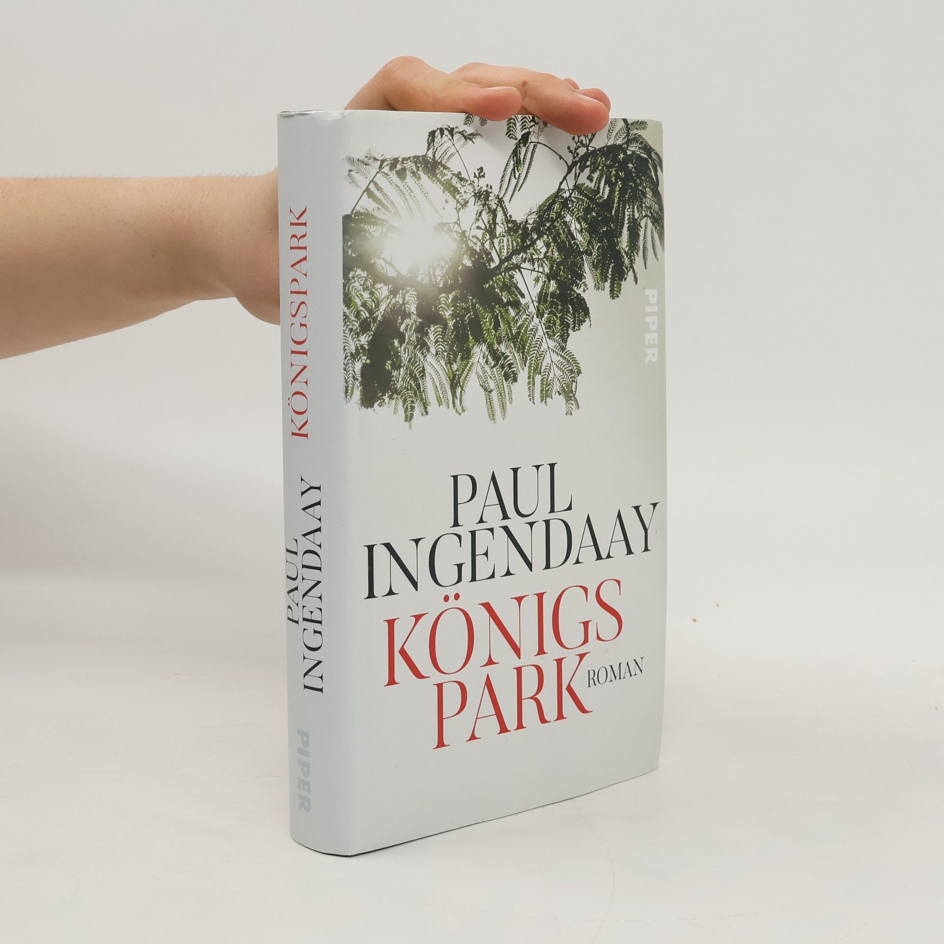 Paul Ingendaay Königspark