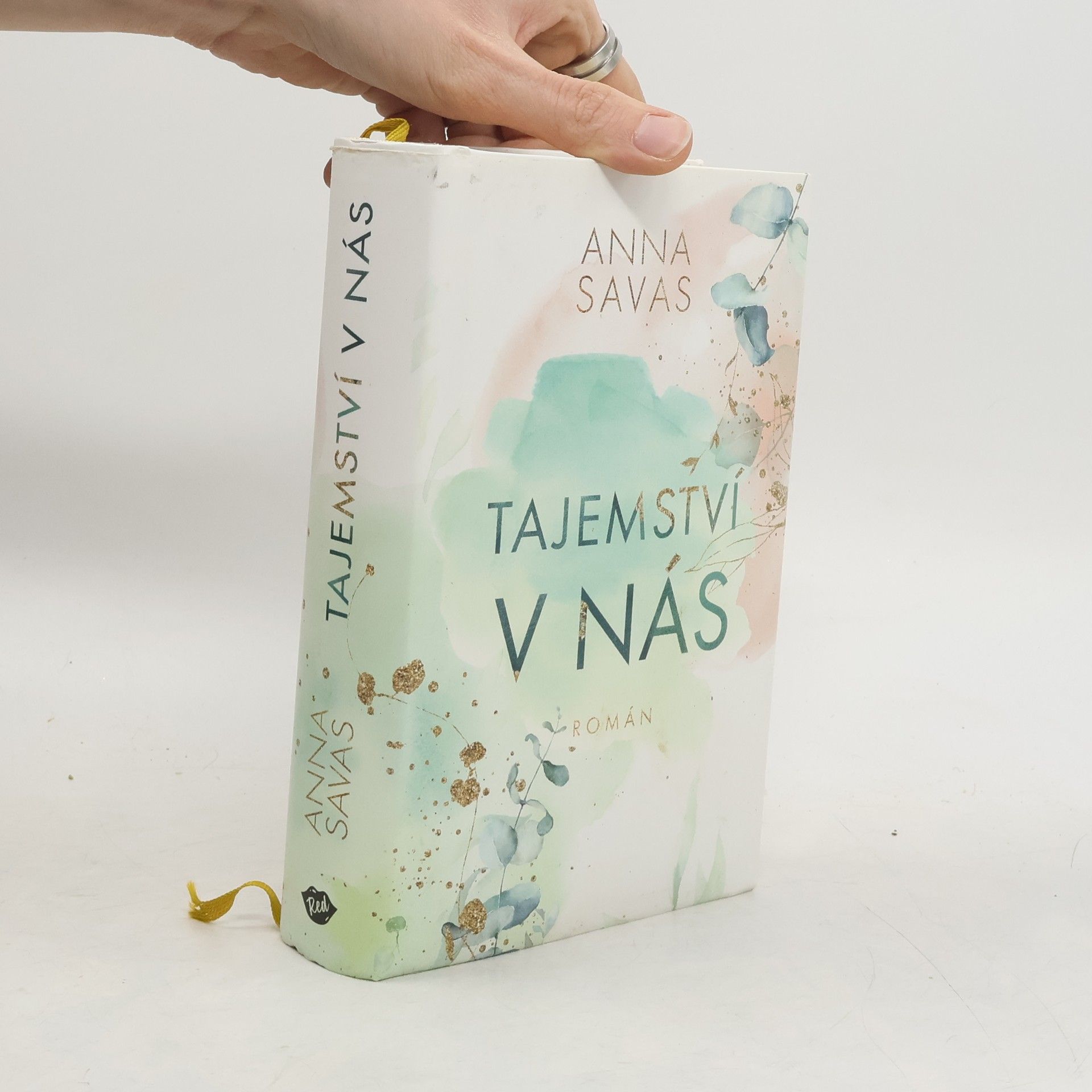 Anna Savas Tajemství v nás