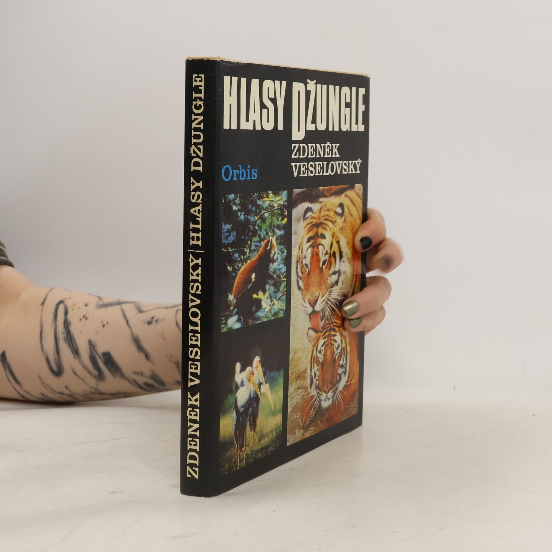 Alena Čepická Hlasy džungle