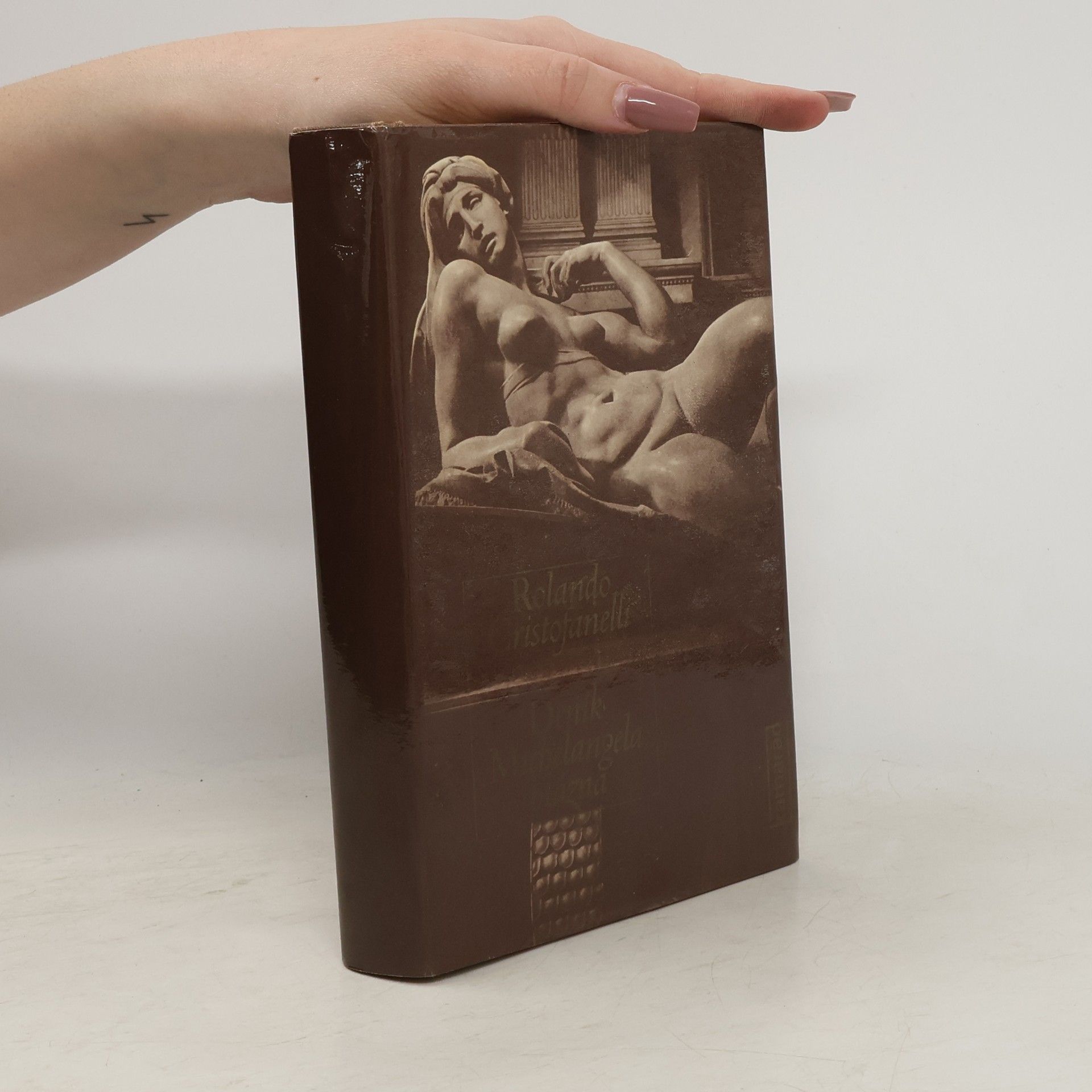 Rolando Cristofanelli Deník Michelangela blázna