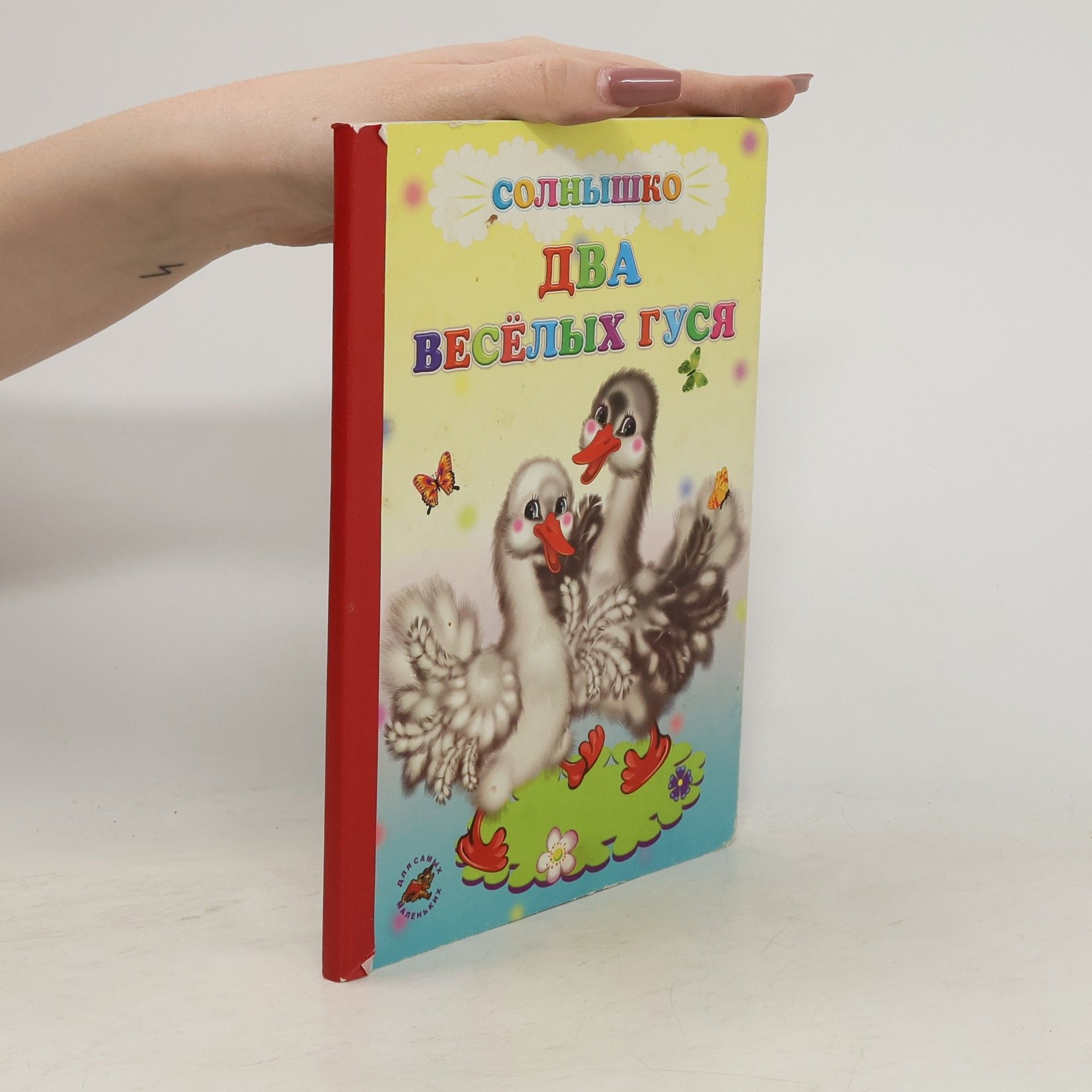 kolektiv Два весёлых гуся