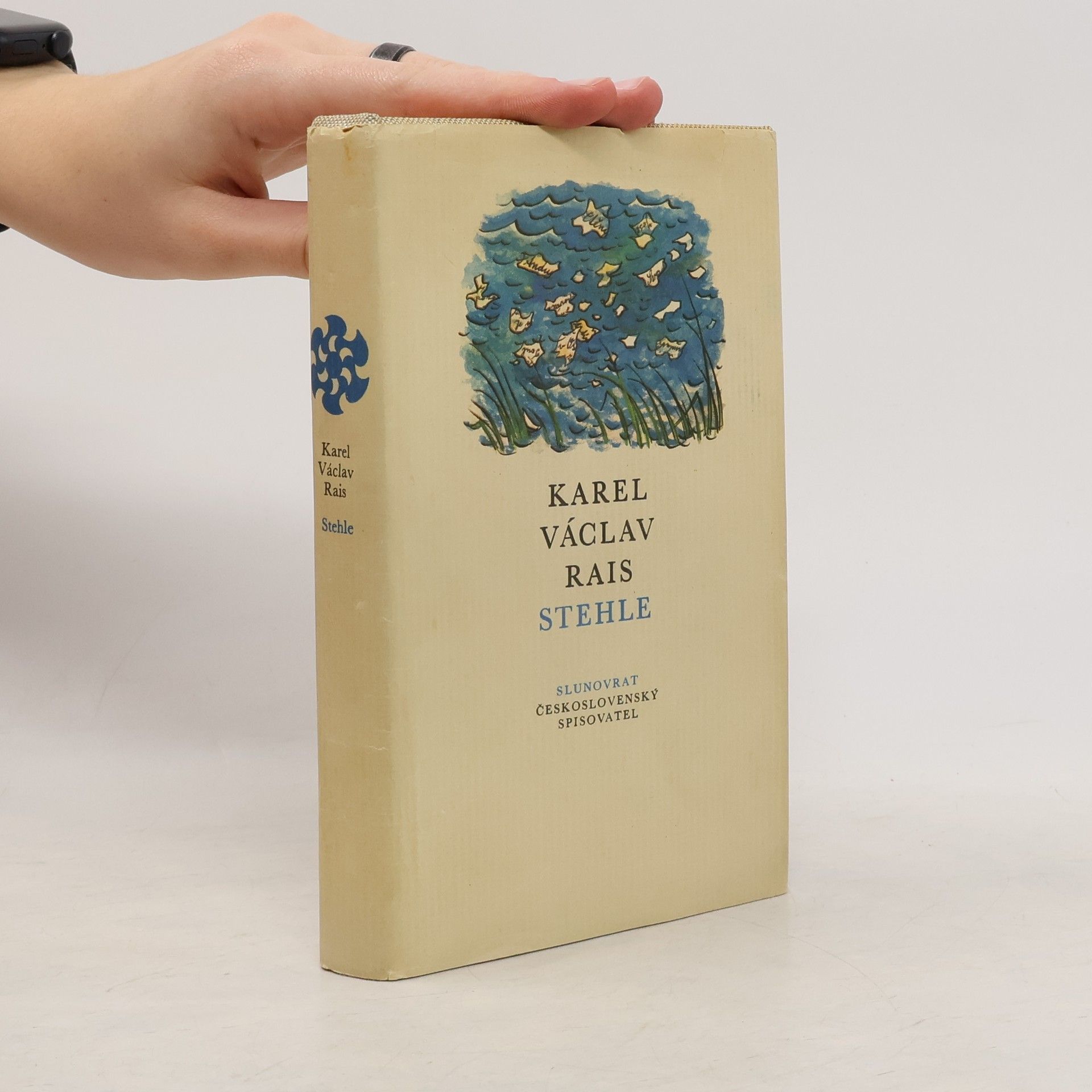 Karel Václav Rais Stehle