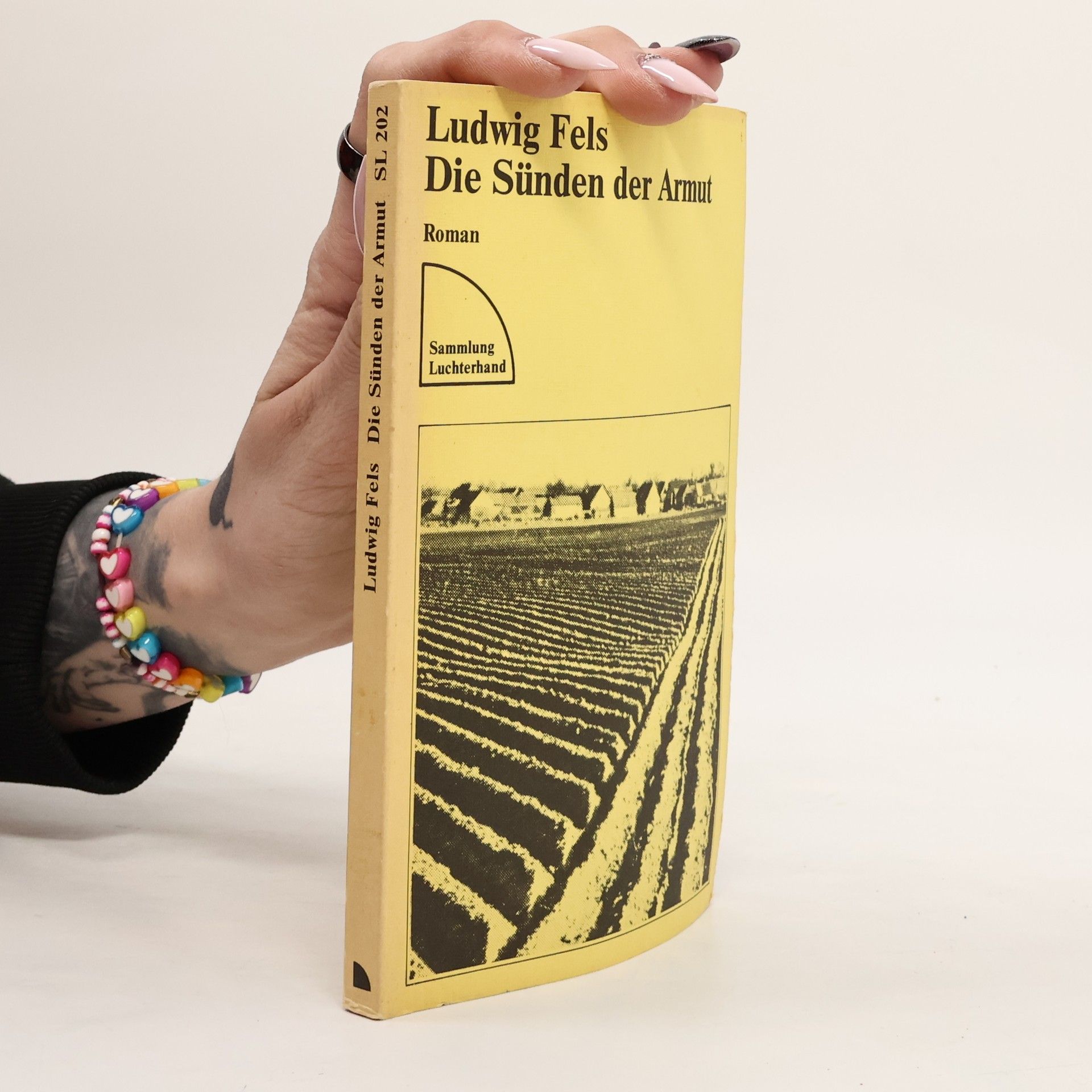 Ludwig Fels Die Sünden der Armut