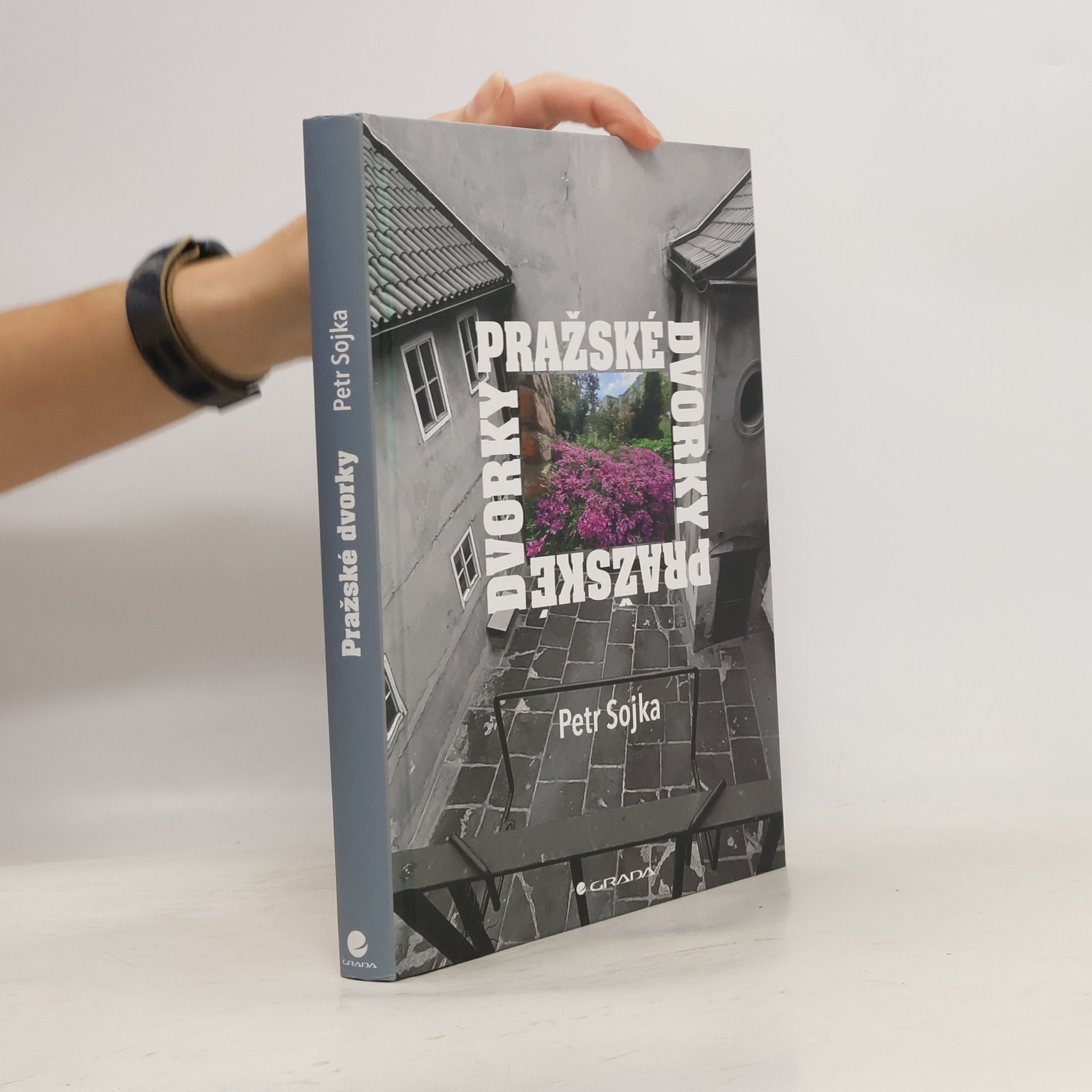 Petr Sojka Pražské dvorky