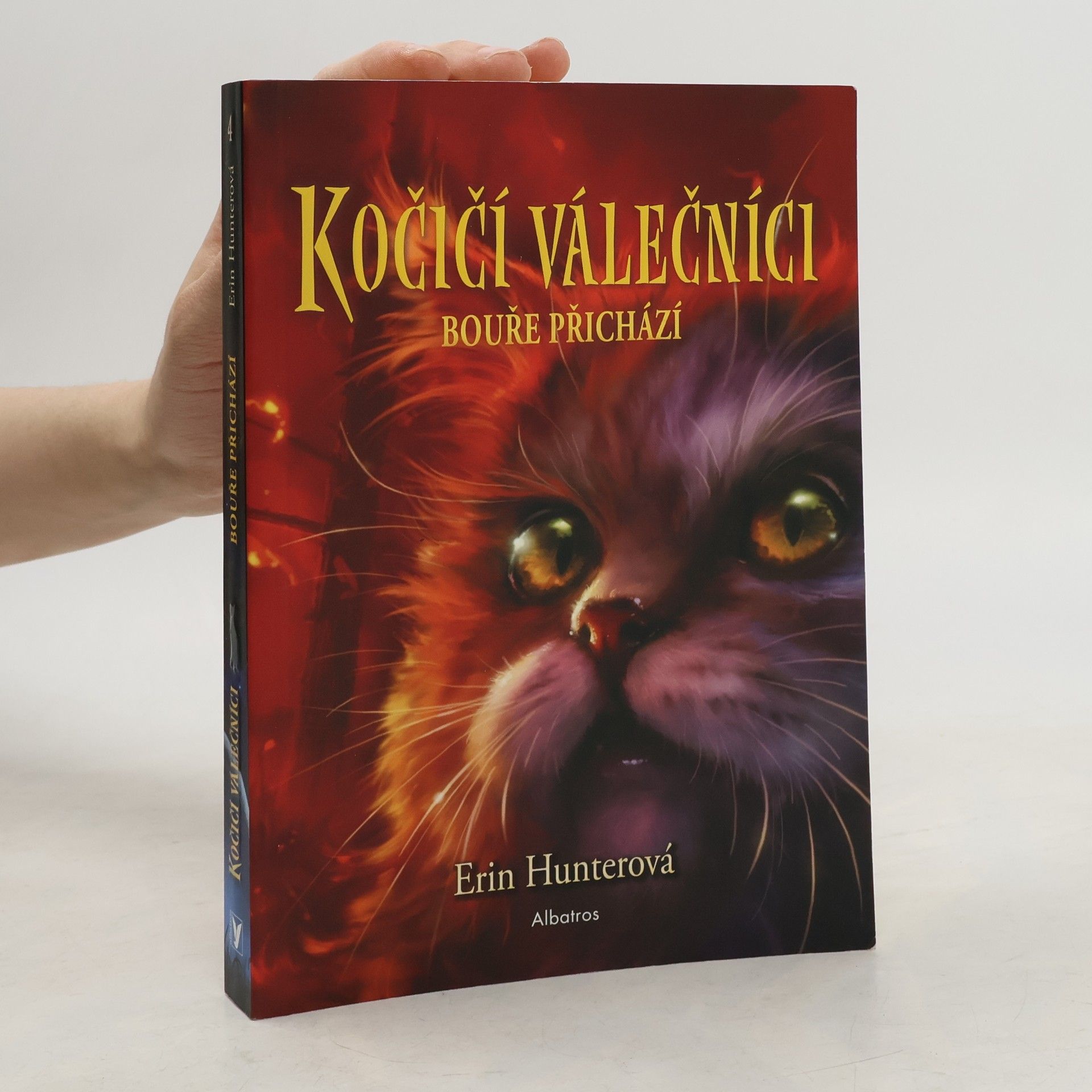 Erin Hunter Kočičí válečníci. Bouře přichází