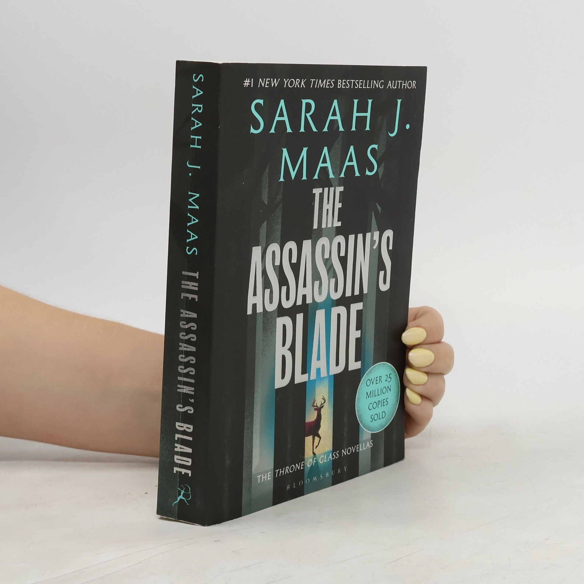 Sarah J. Maas The Assassin's Blade