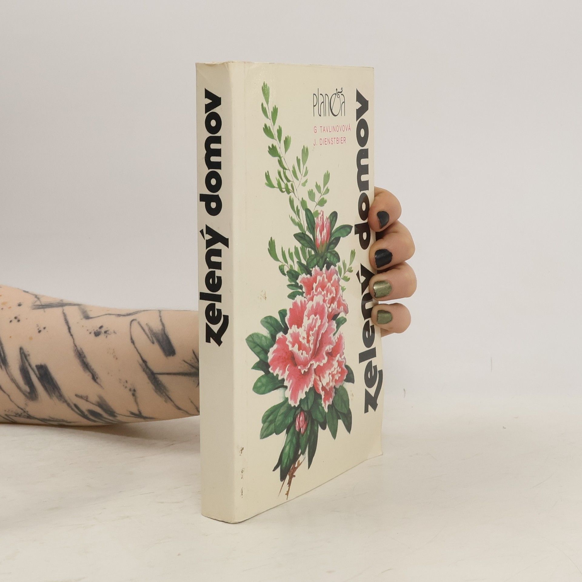 Jan Dienstbier Zelený domov