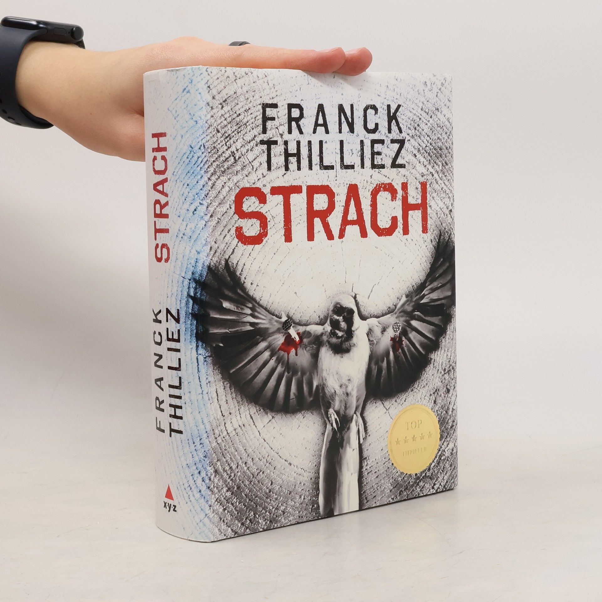Franck Thilliez Strach
