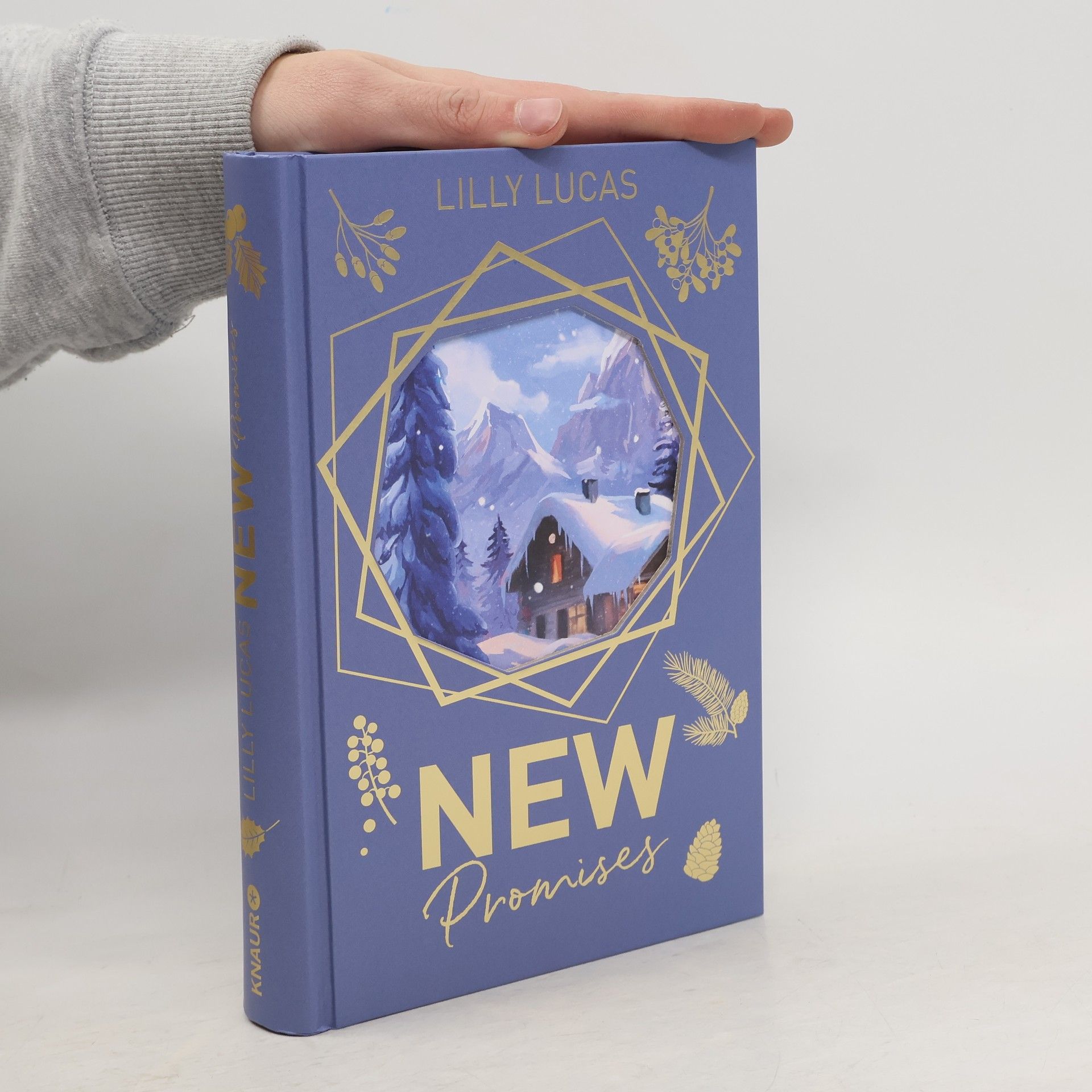 Lilly Lucas Green Valley Love - 2: New Promises