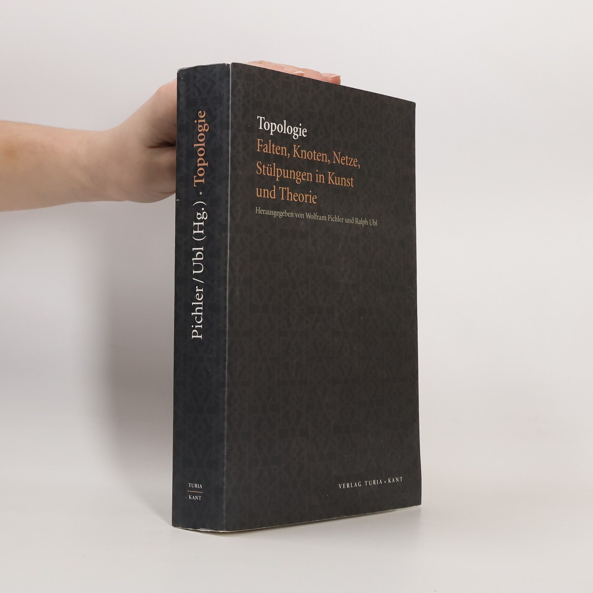 Wolfram Pichler Topologie