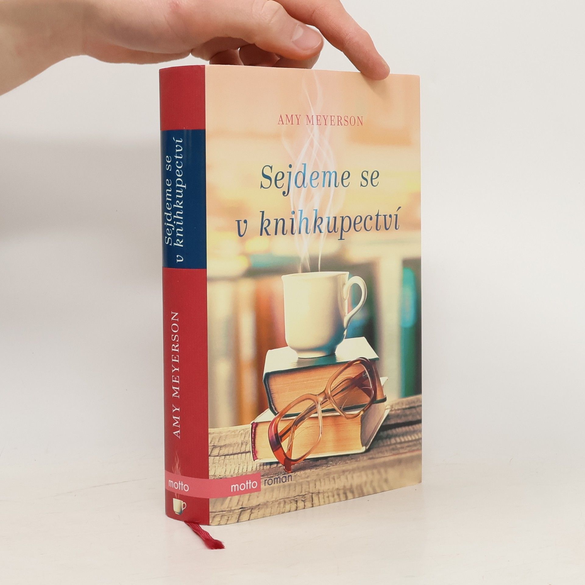 Amy Meyerson Sejdeme se v knihkupectví