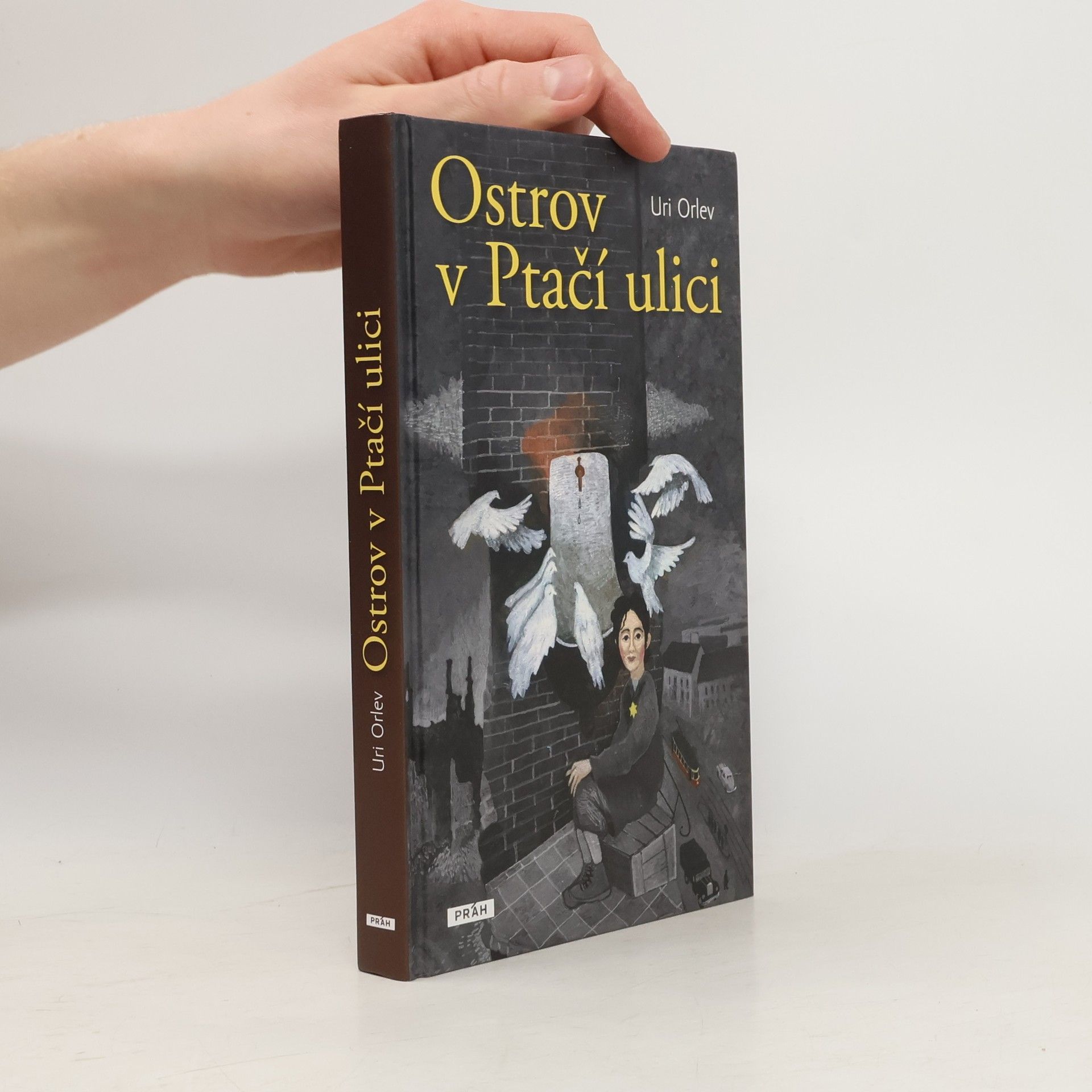 Uri Orlev Ostrov v Ptačí ulici