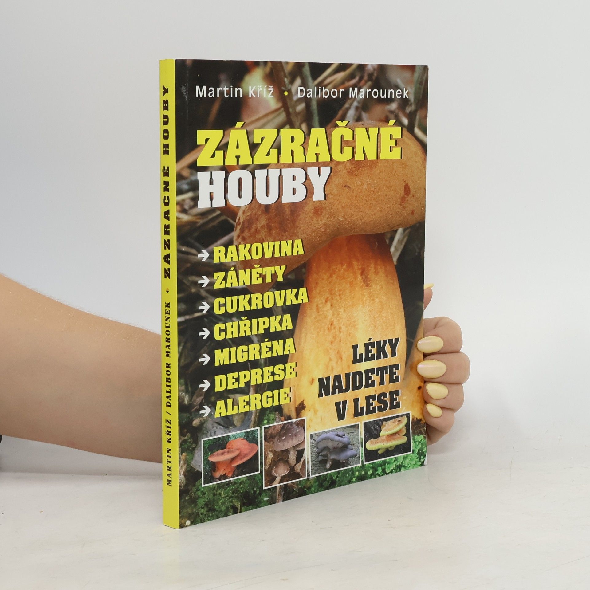 Martin Kříž Zázračné houby : rakovina, záněty, cukrovka, chřipka, migréna, deprese, alergie : léky najdete v lese