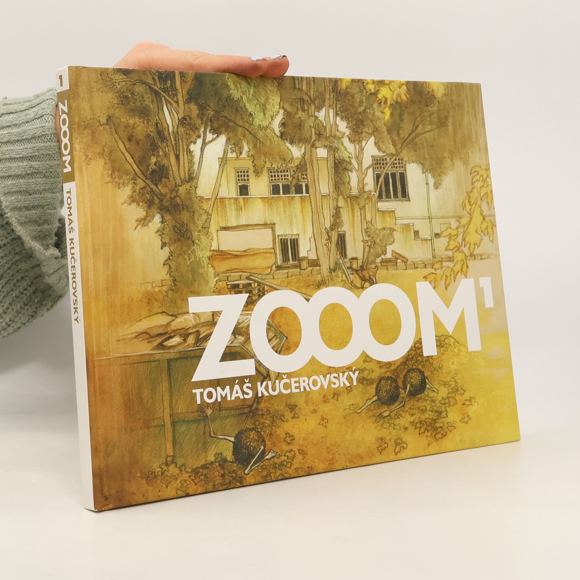 ZOOOM¹ : [komiksová monografie]