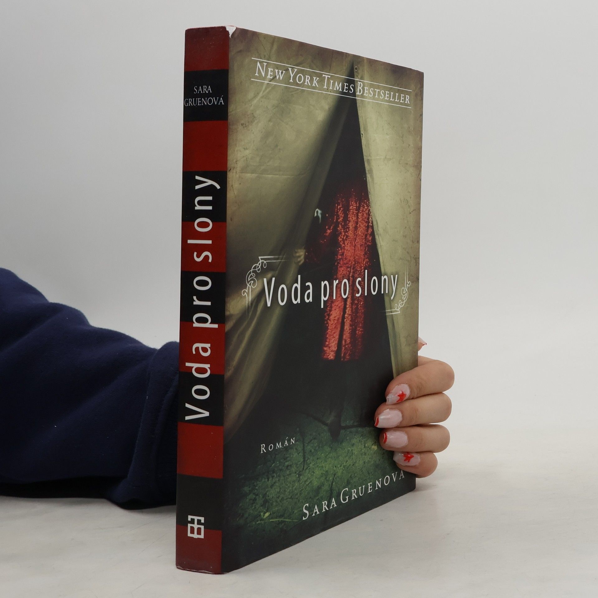 Sara Gruen Voda pro slony