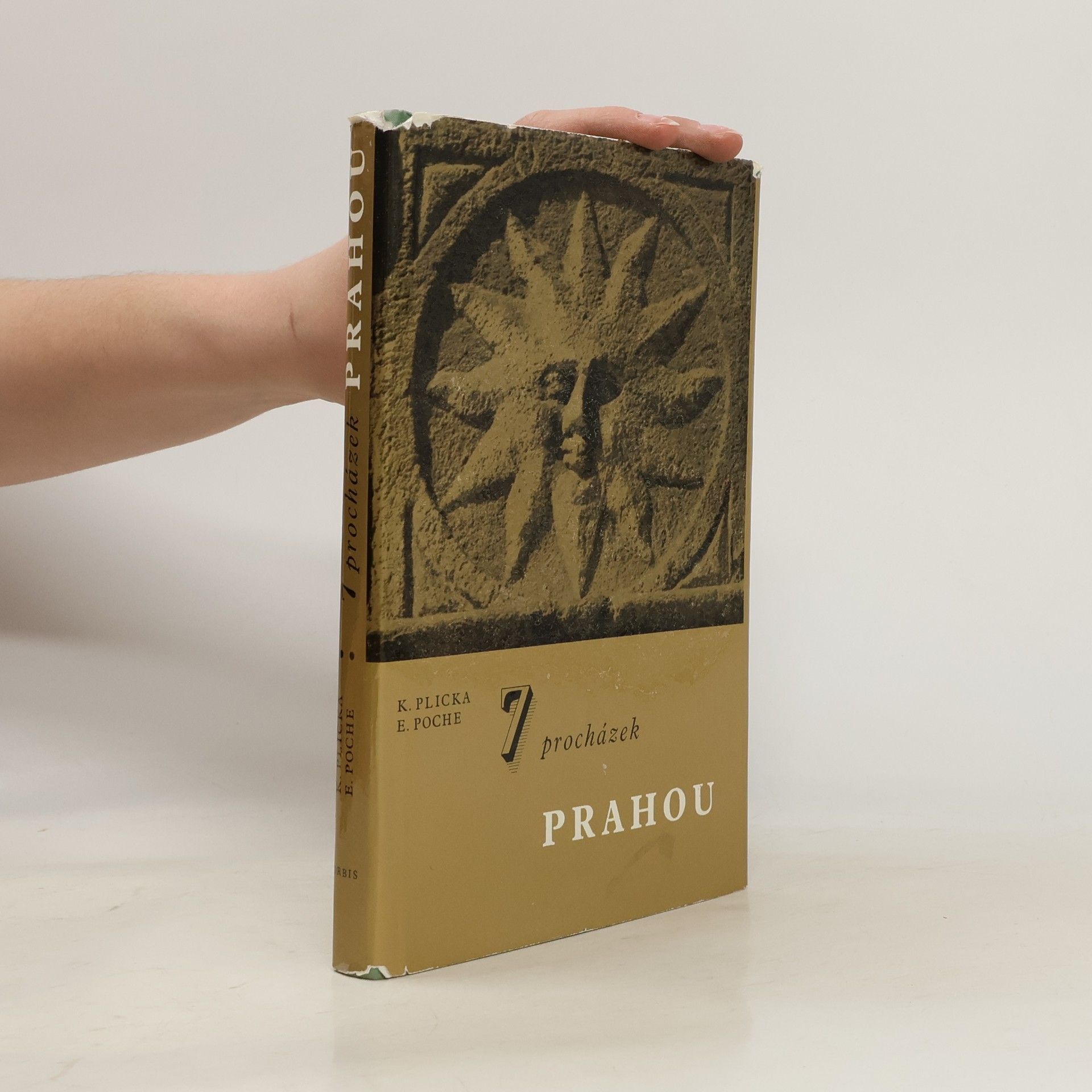 Karel Plicka 7 procházek Prahou