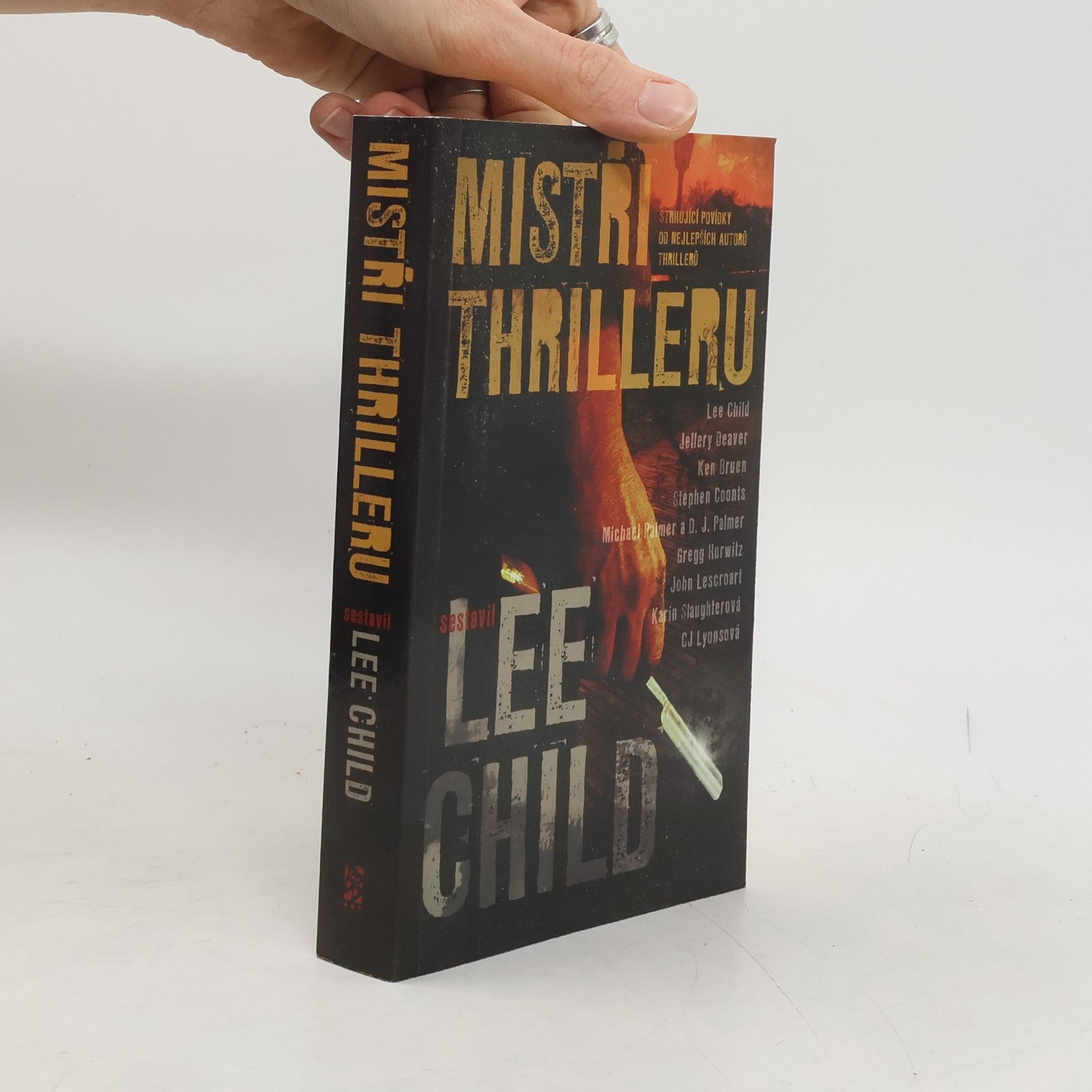 Lee Child Mistři thrilleru: Strhující povídky od nejlepších autorů thrillerů