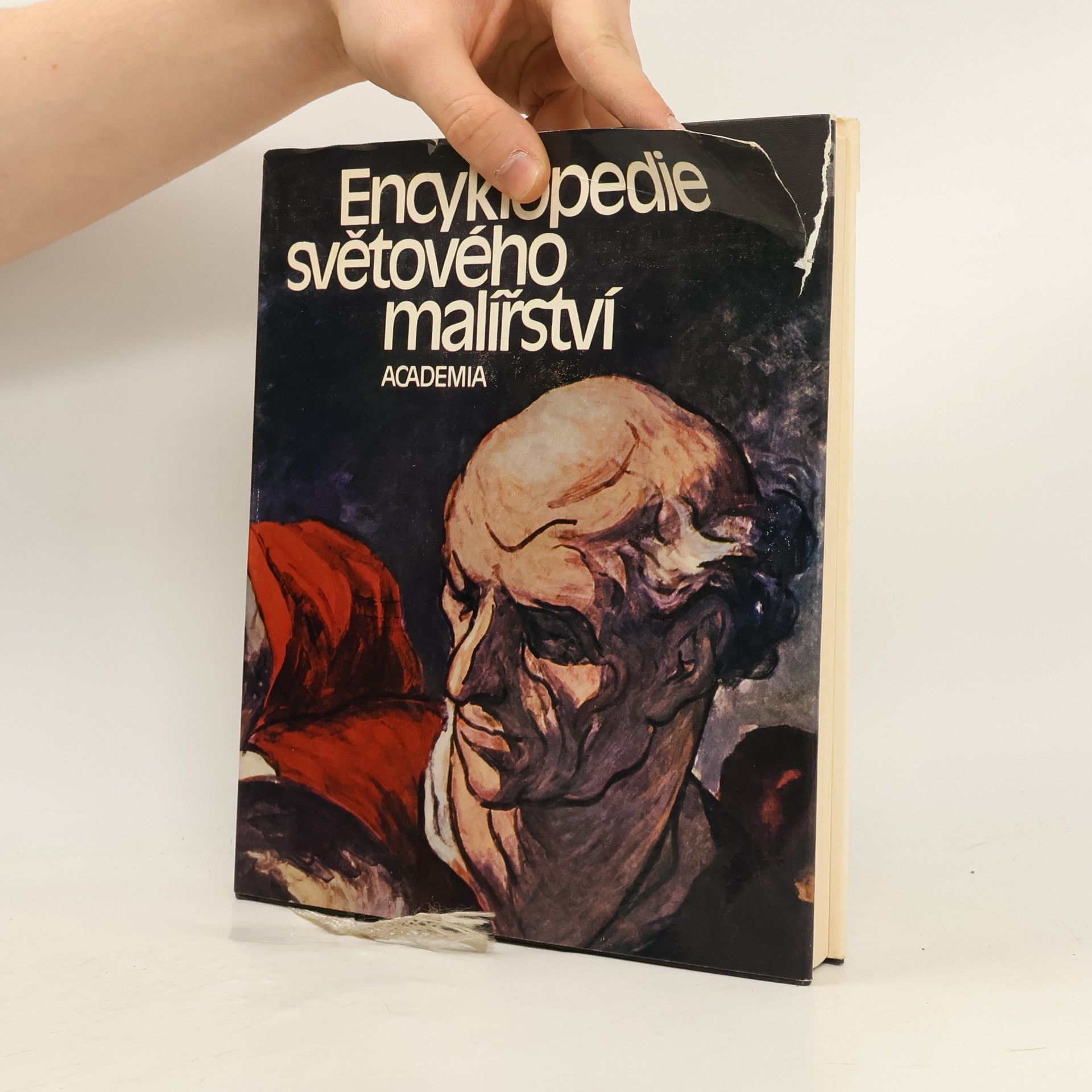 Sáva Šabouk Encyklopedie světového malířství