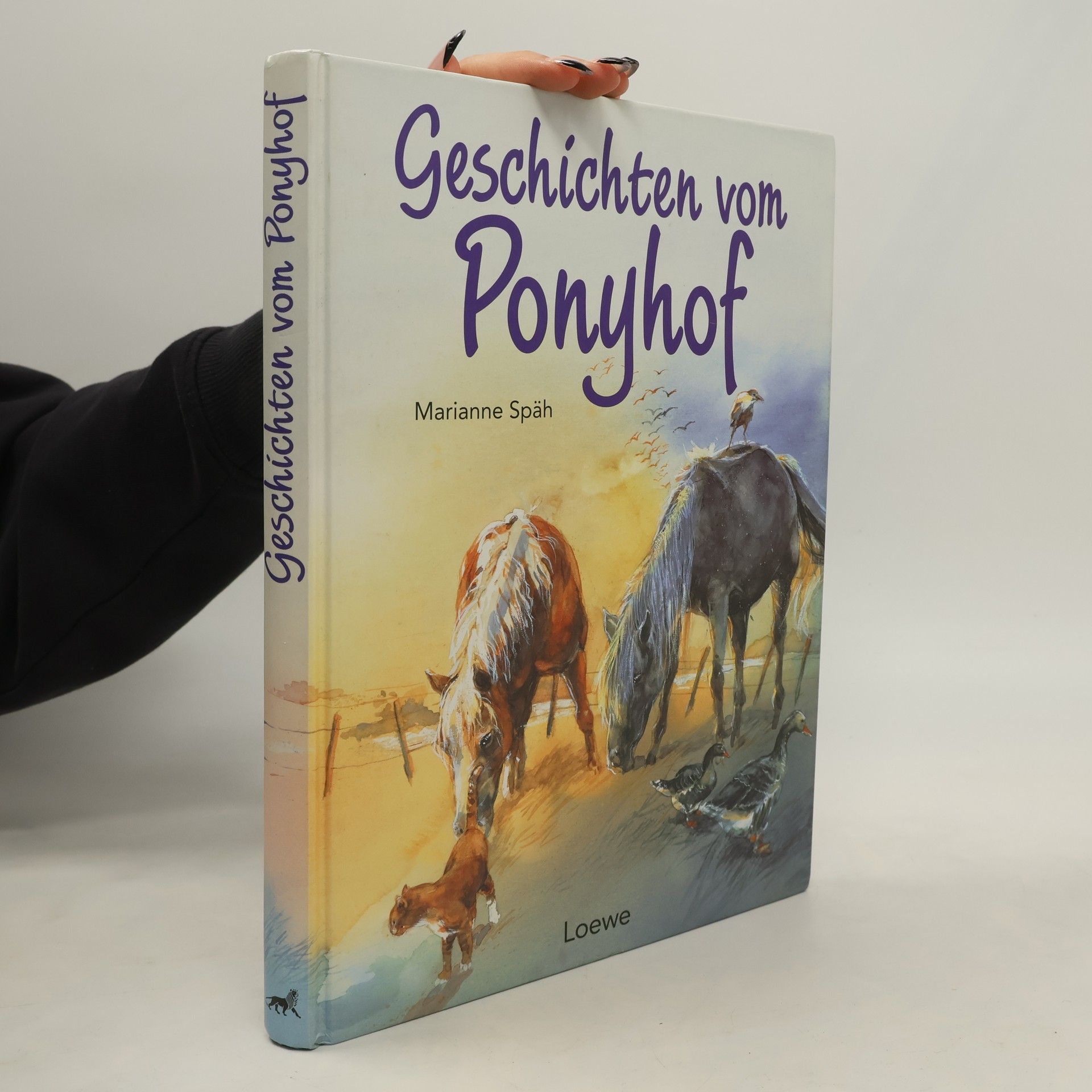 Marianne Späh Geschichten vom Ponyhof