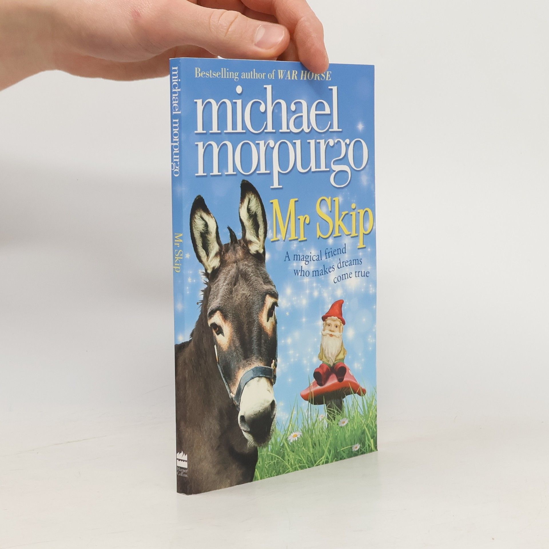 Michael Morpugo Mr Skip