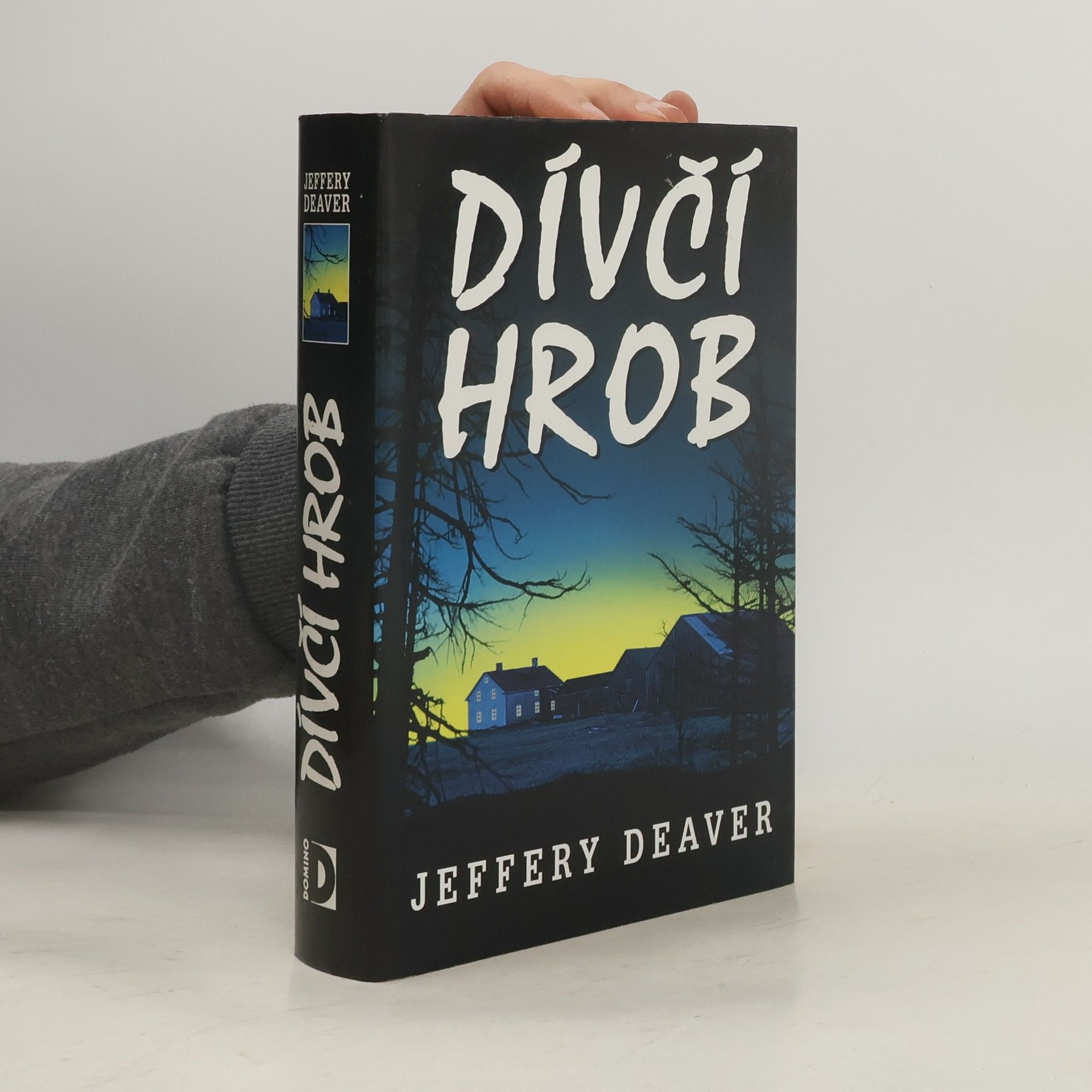 Jeffery Deaver Dívčí hrob