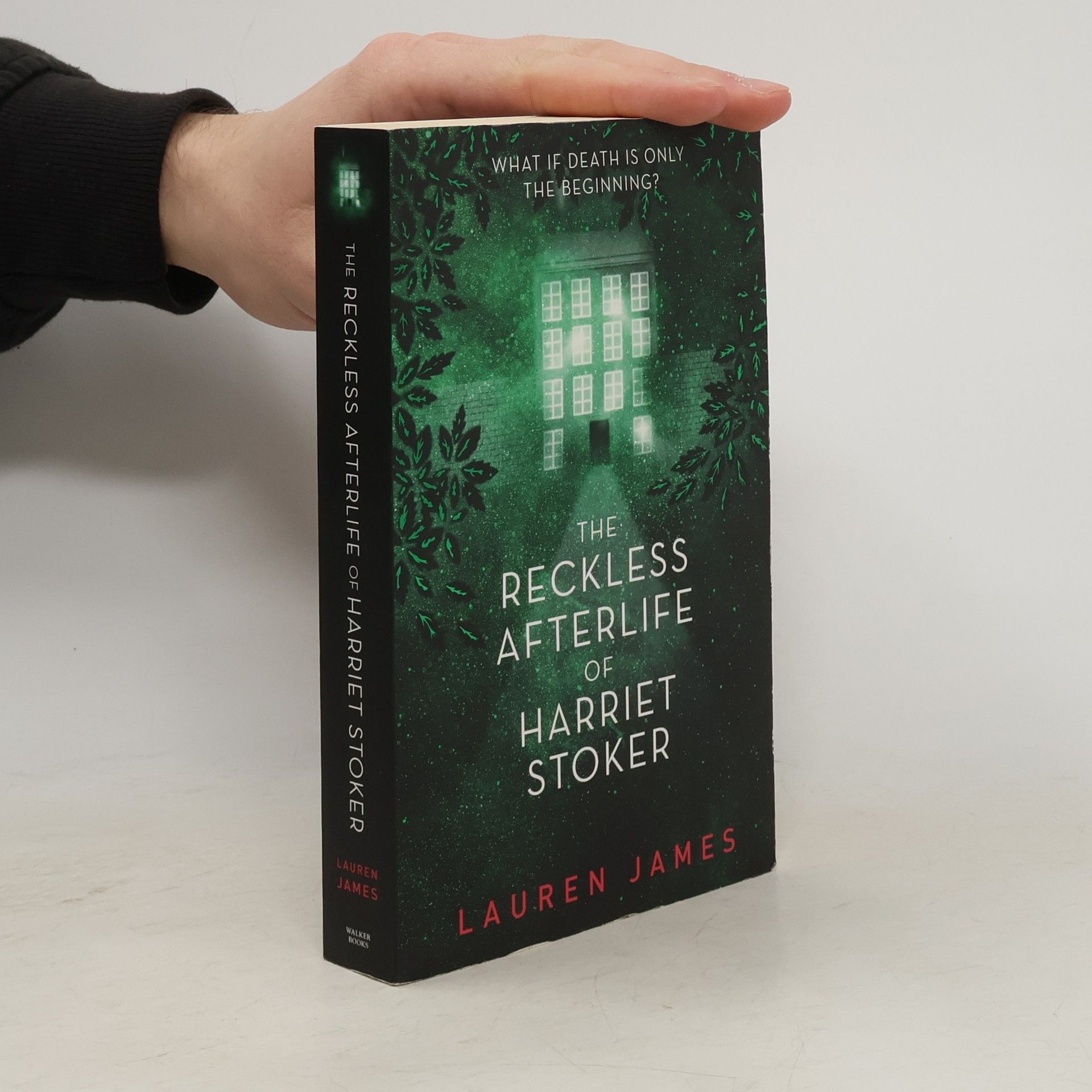 Lauren James The Reckless Afterlife of Harriet Stoker