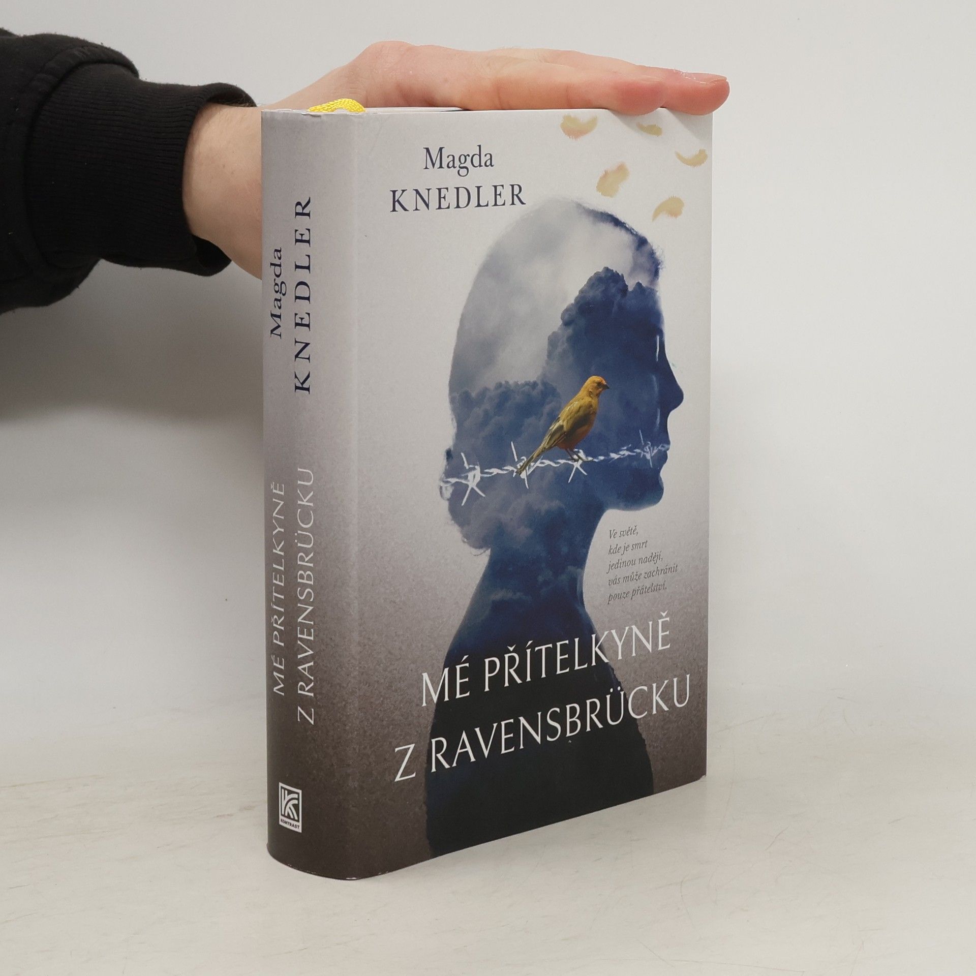 Magdalena Knedler Mé přítelkyně z Ravensbrücku