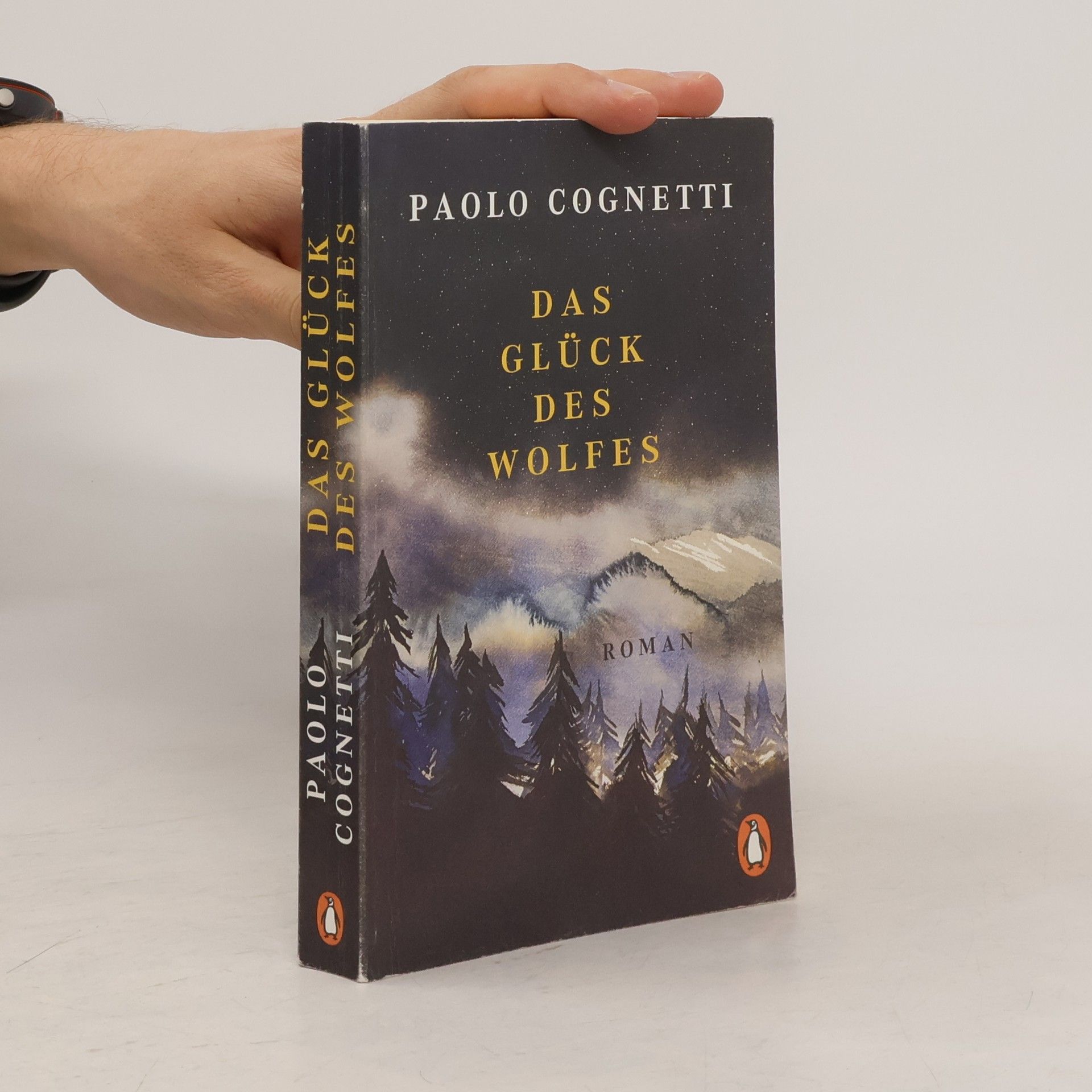 Paolo Cognetti Das Glück des Wolfes