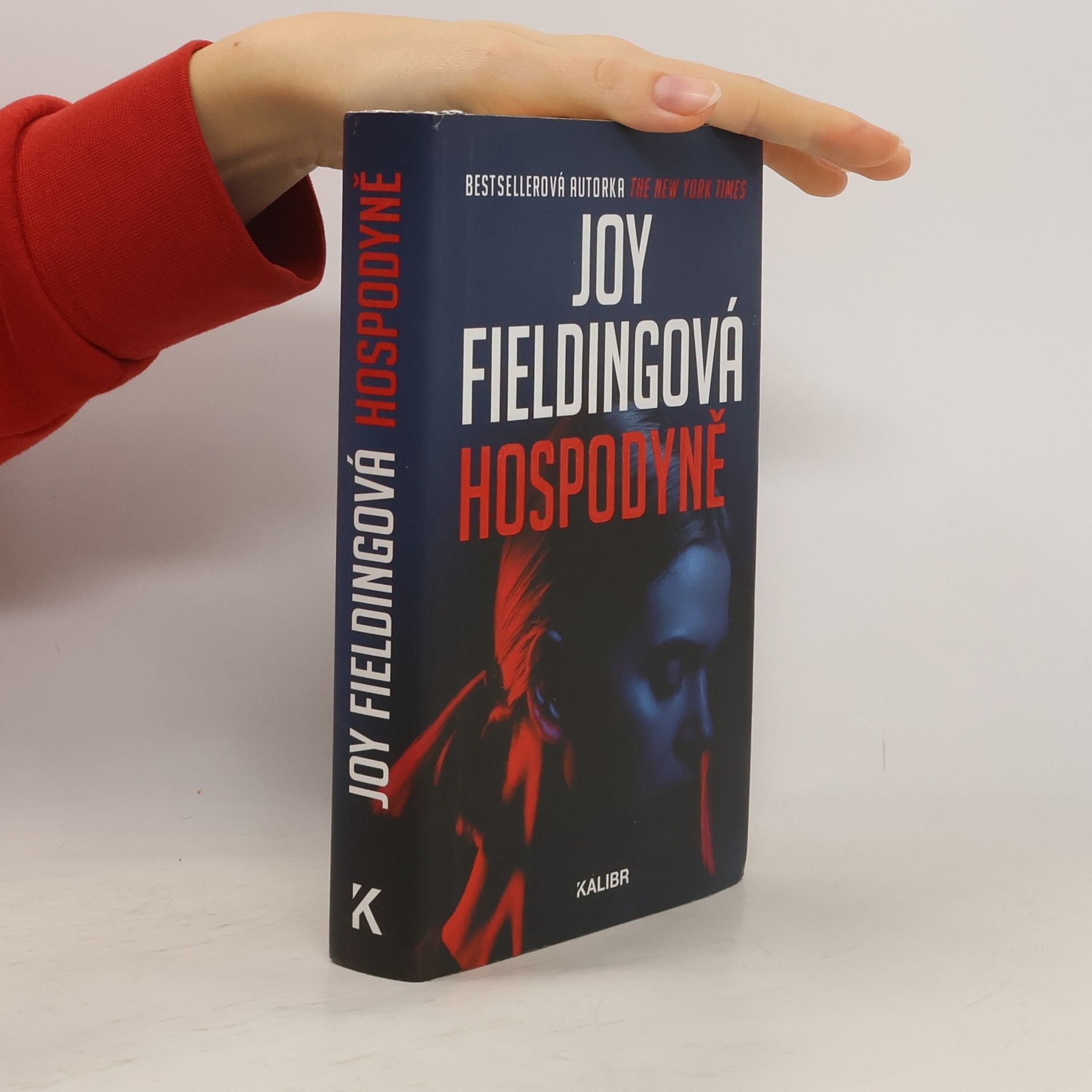 Joy Fielding Hospodyně
