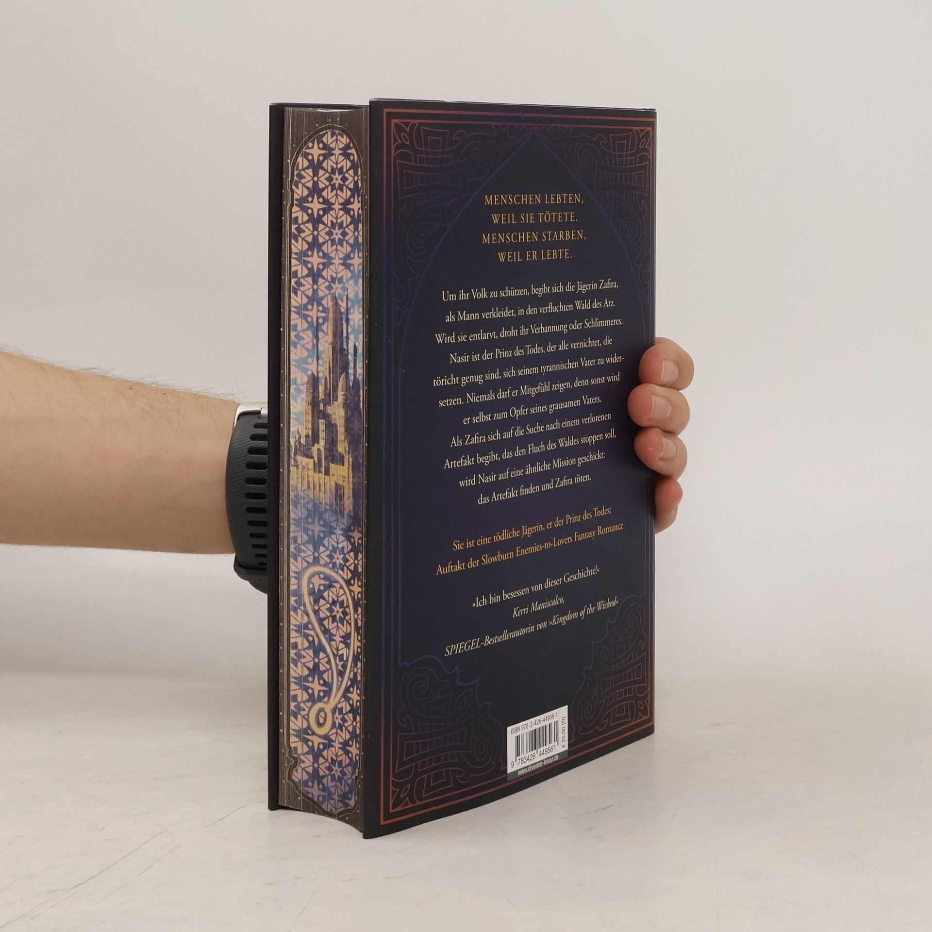 Hafsah Faizal We hunt the Flame / Die Reiche von Arawiya Bd.1