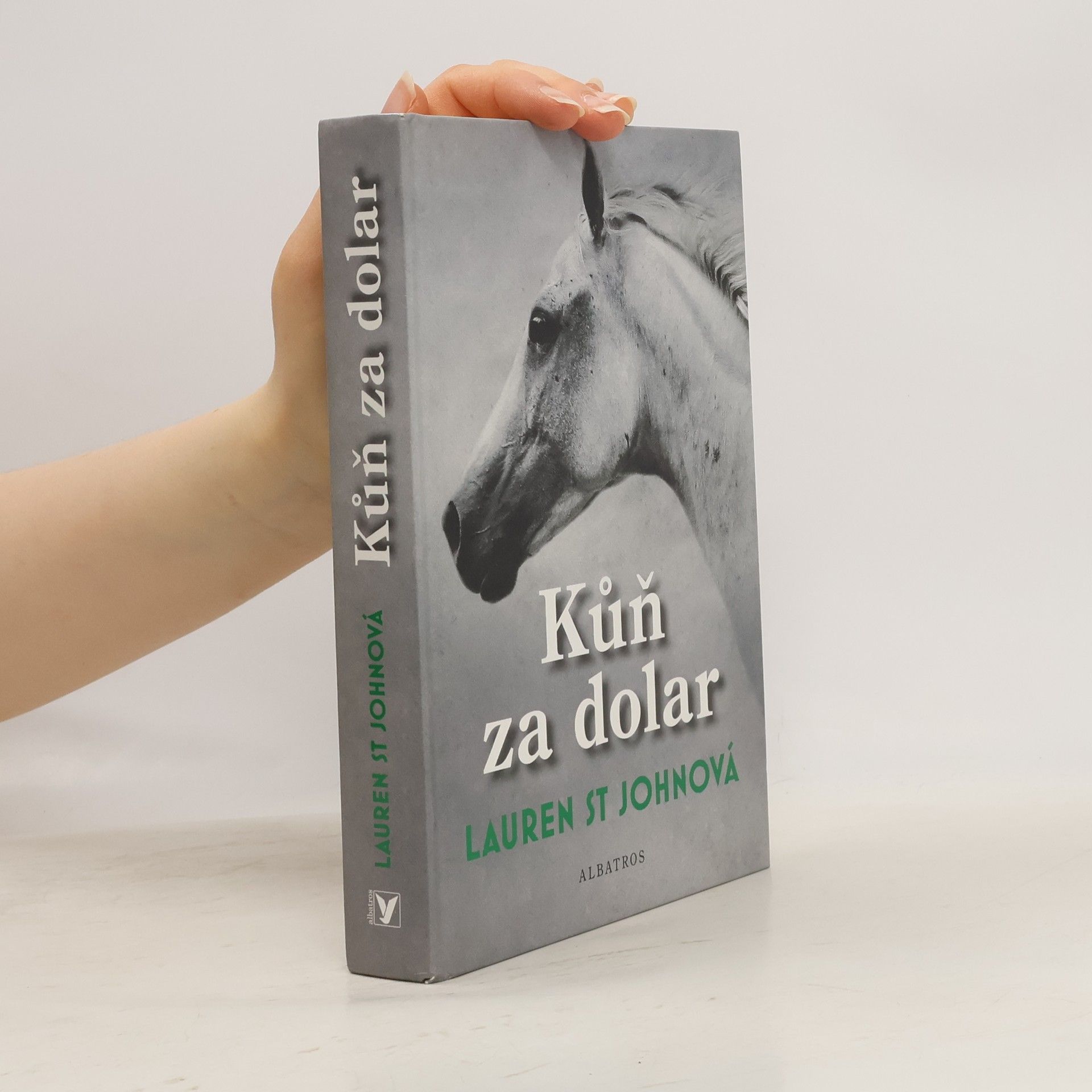 Lauren St. John Kůň za dolar