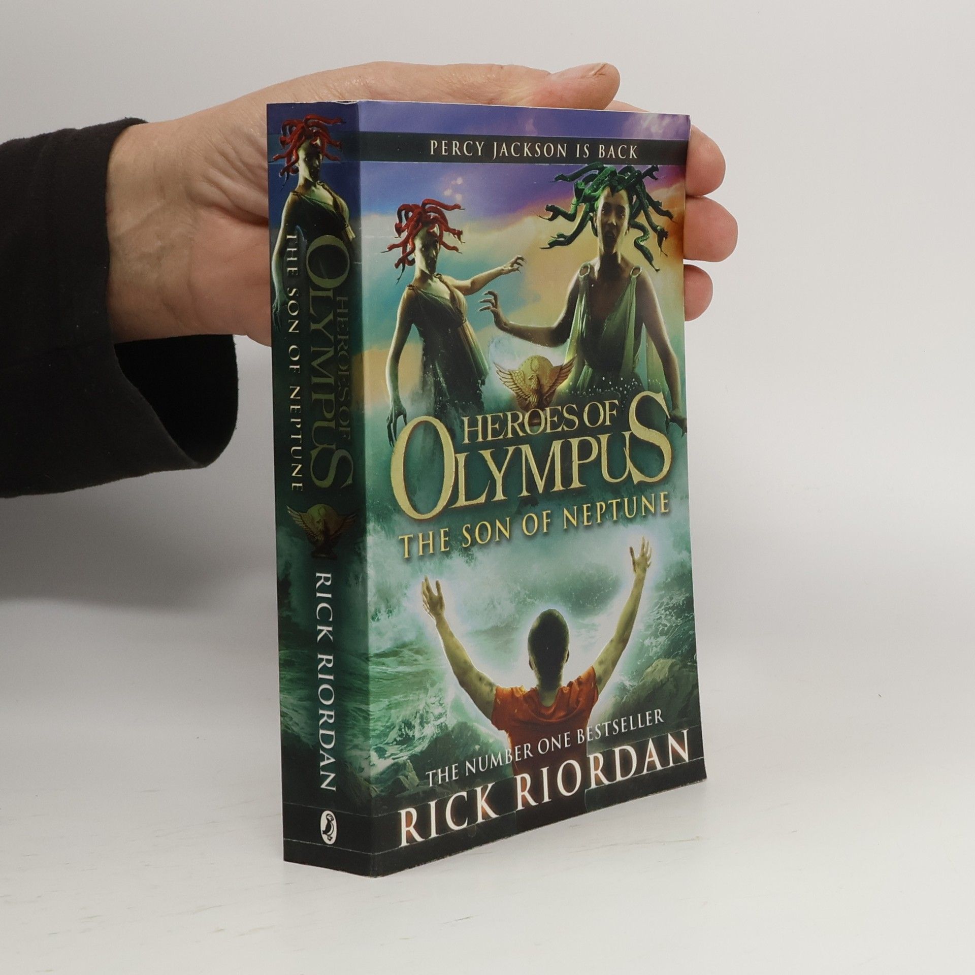 Rick Riordan Heroes of Olympus. The son of Neptune