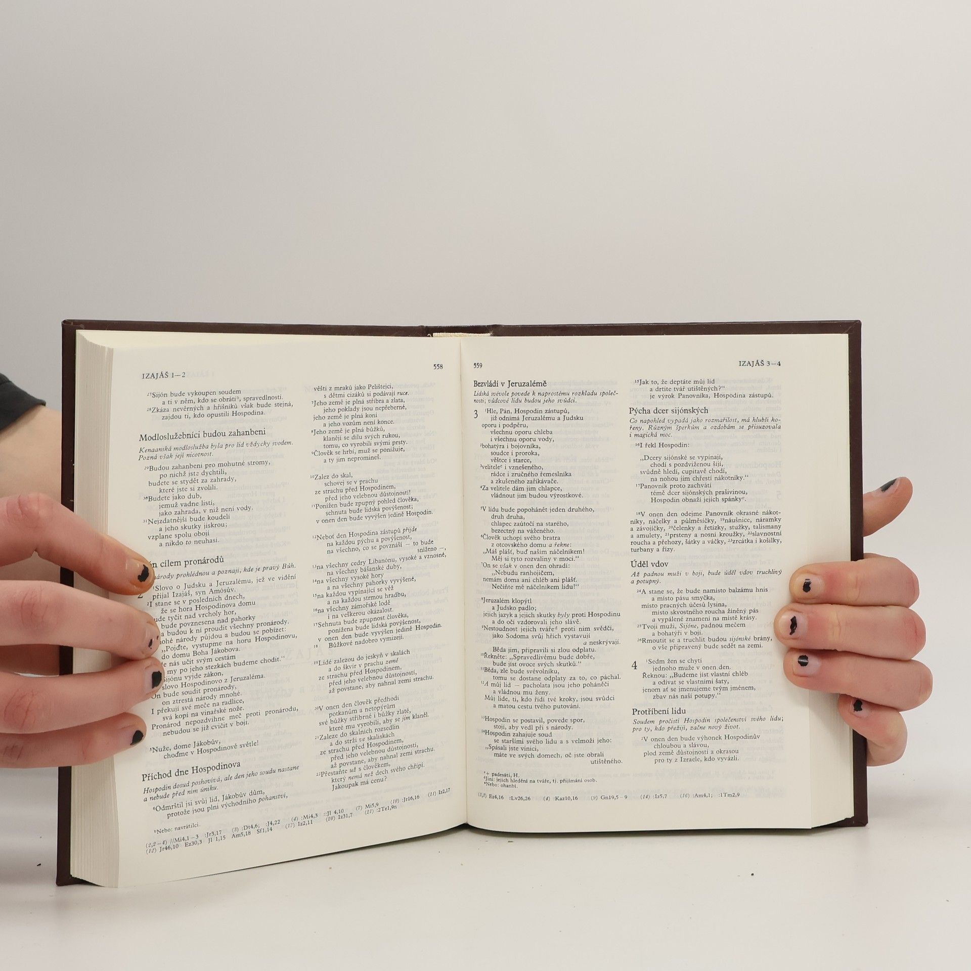 Kolektiv autorů Bible. Písmo svaté Starého i Nového zákona. Ekumenický překlad