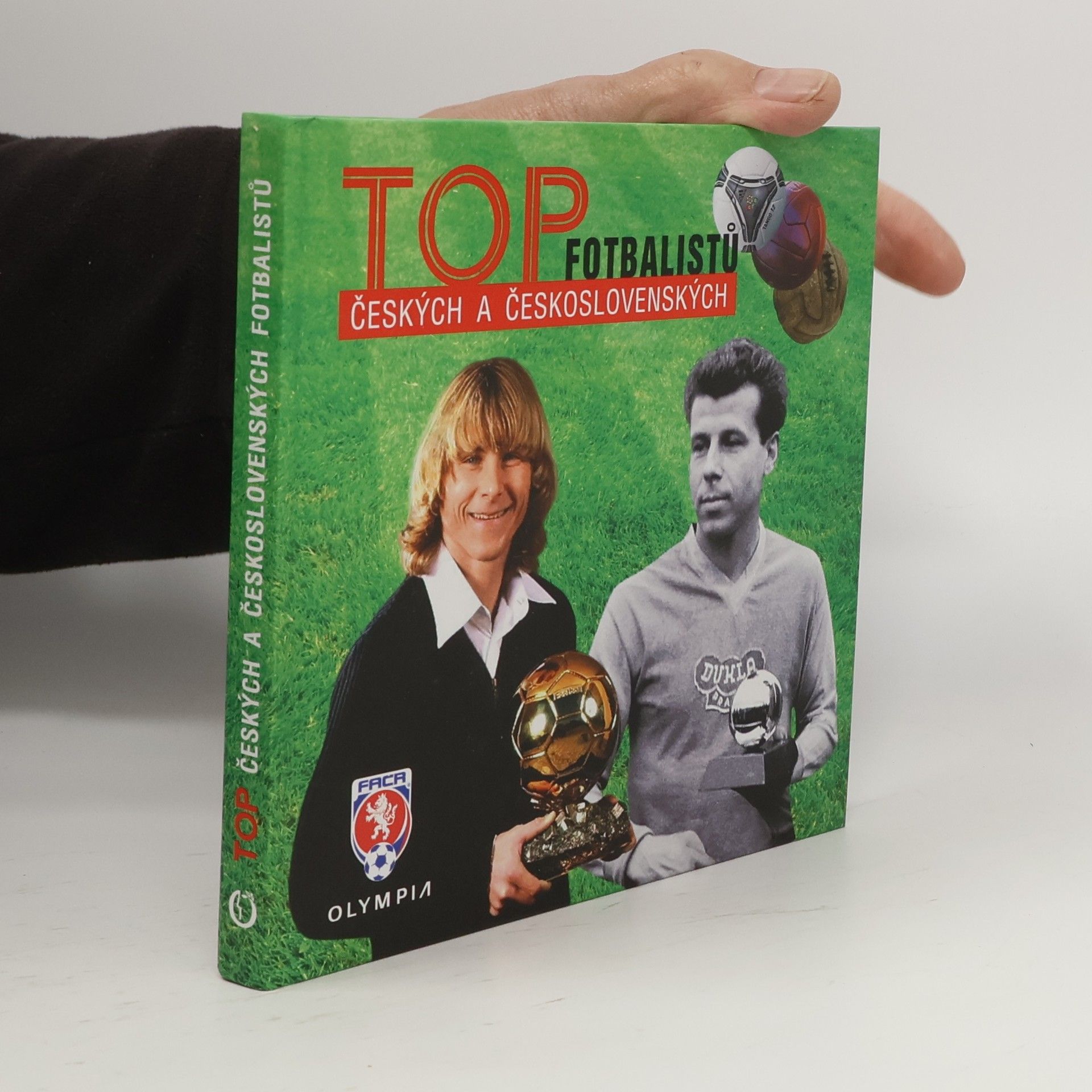 Pavel Červinka Top českých a československých fotbalistů