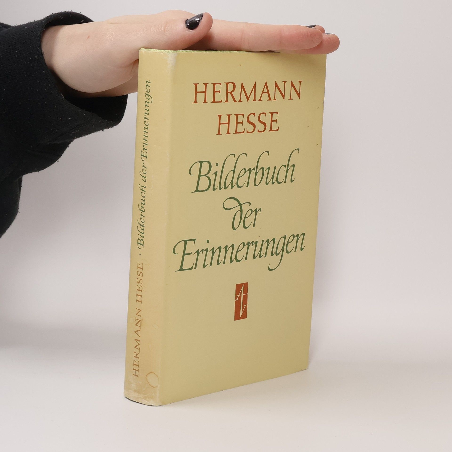 Hermann Hesse Bilderbuch der Erinnerungen