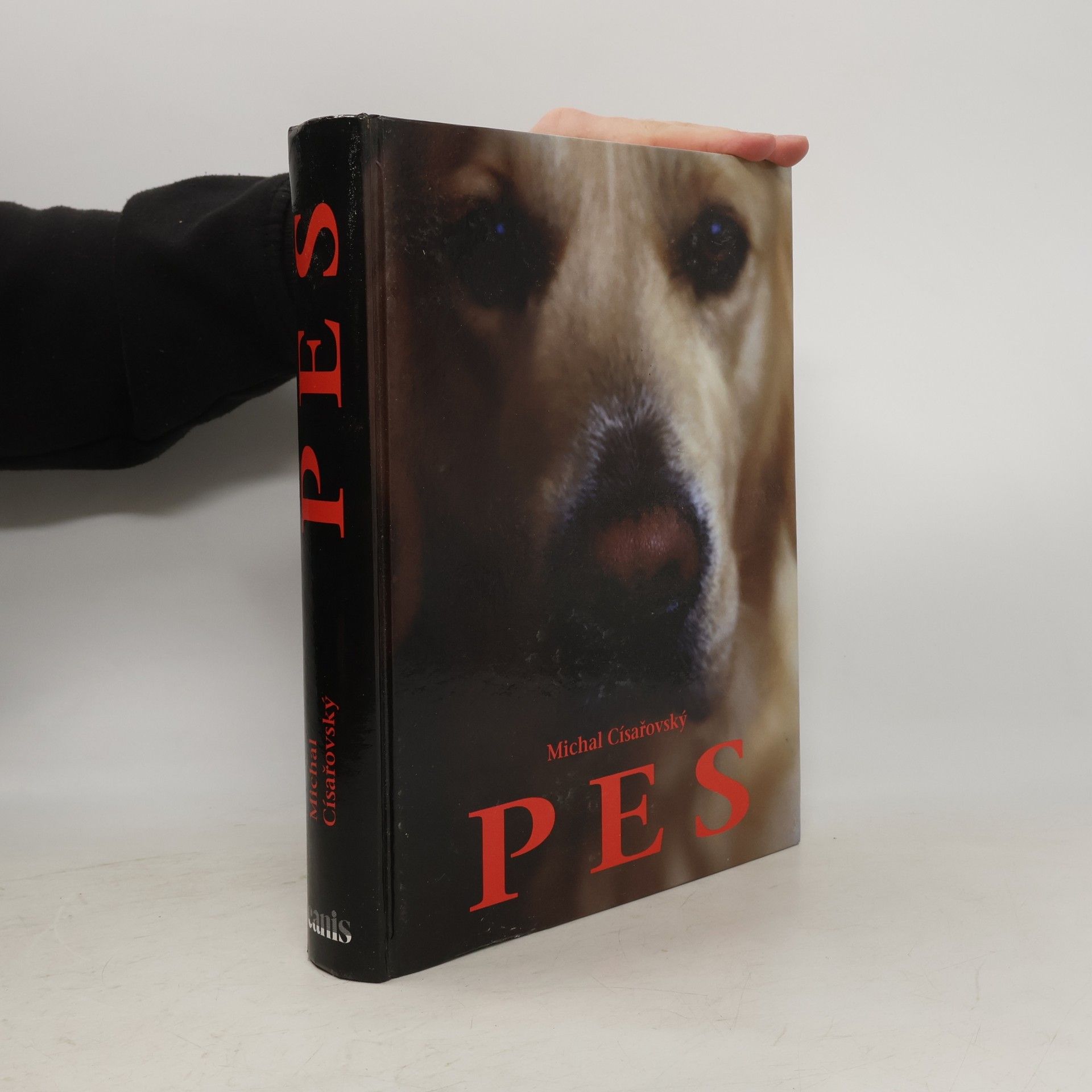 Michal Císařowský Pes