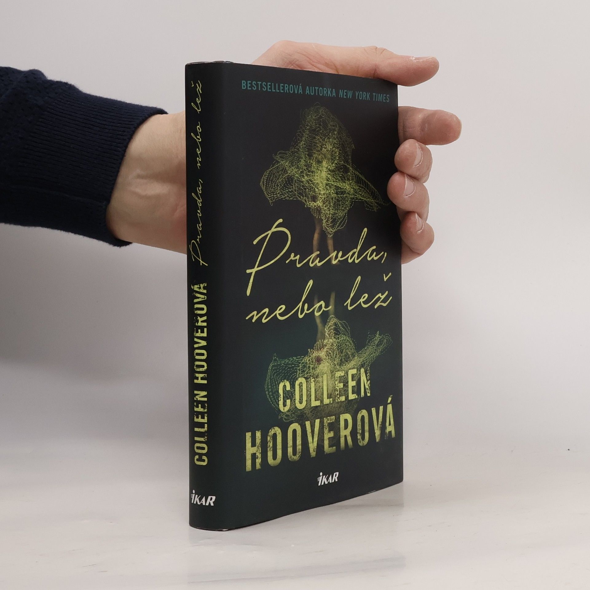 Colleen Hoover Pravda nebo lež
