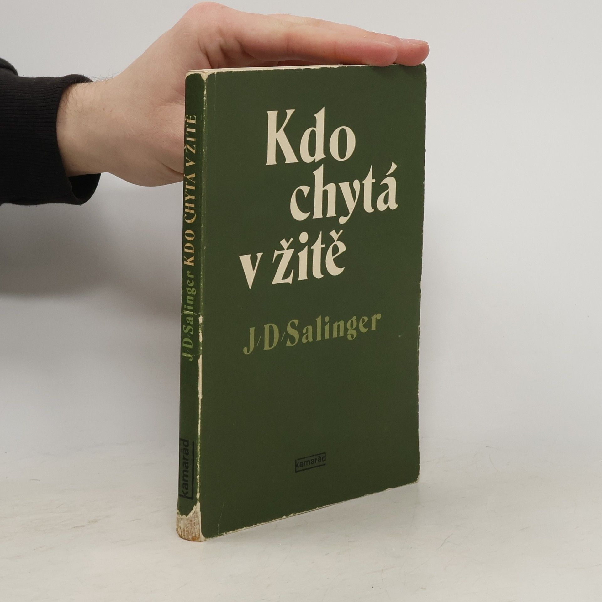 Jerome David Salinger Kdo chytá v žitě