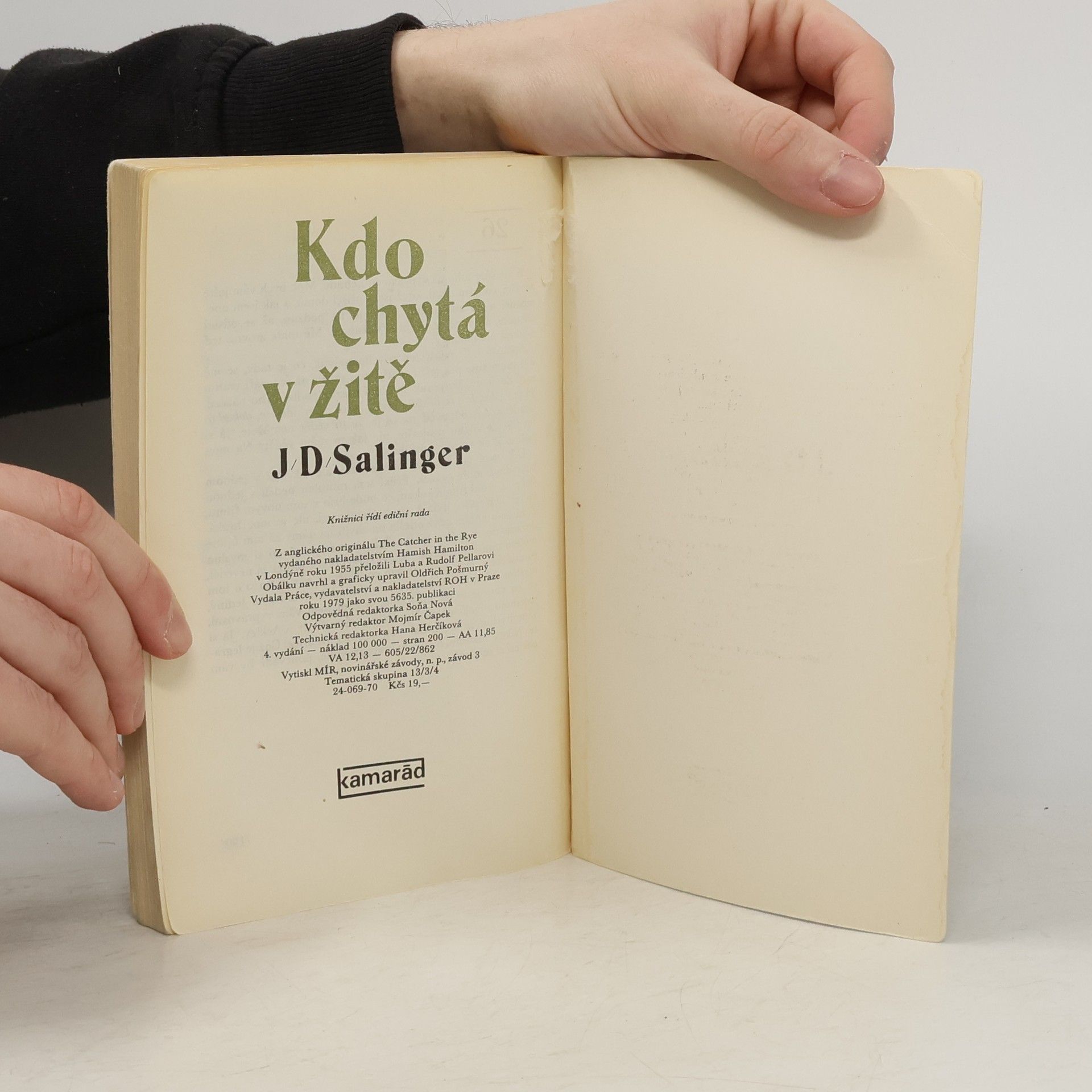 Jerome David Salinger Kdo chytá v žitě