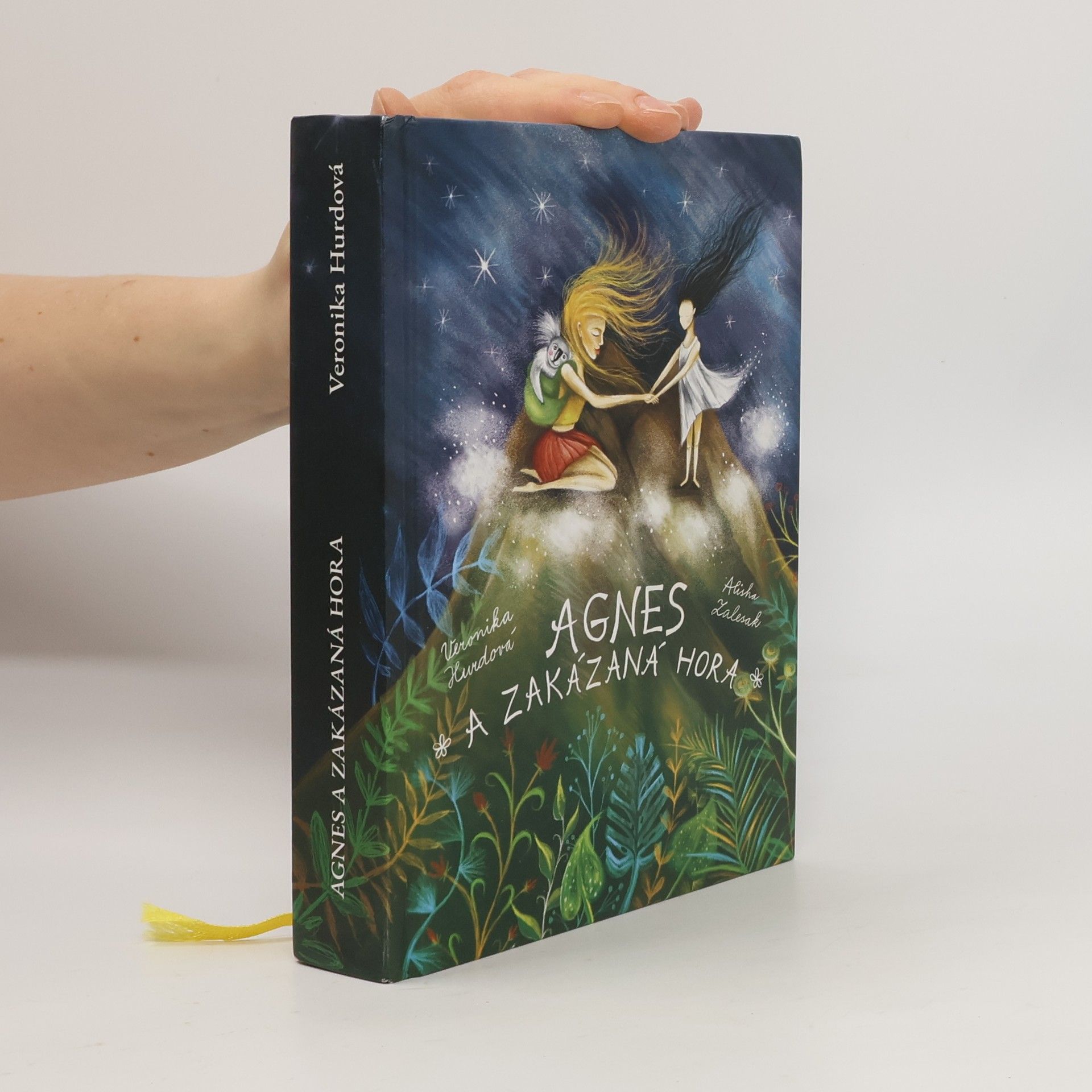 Veronika Hurdová Agnes a Zakázaná hora