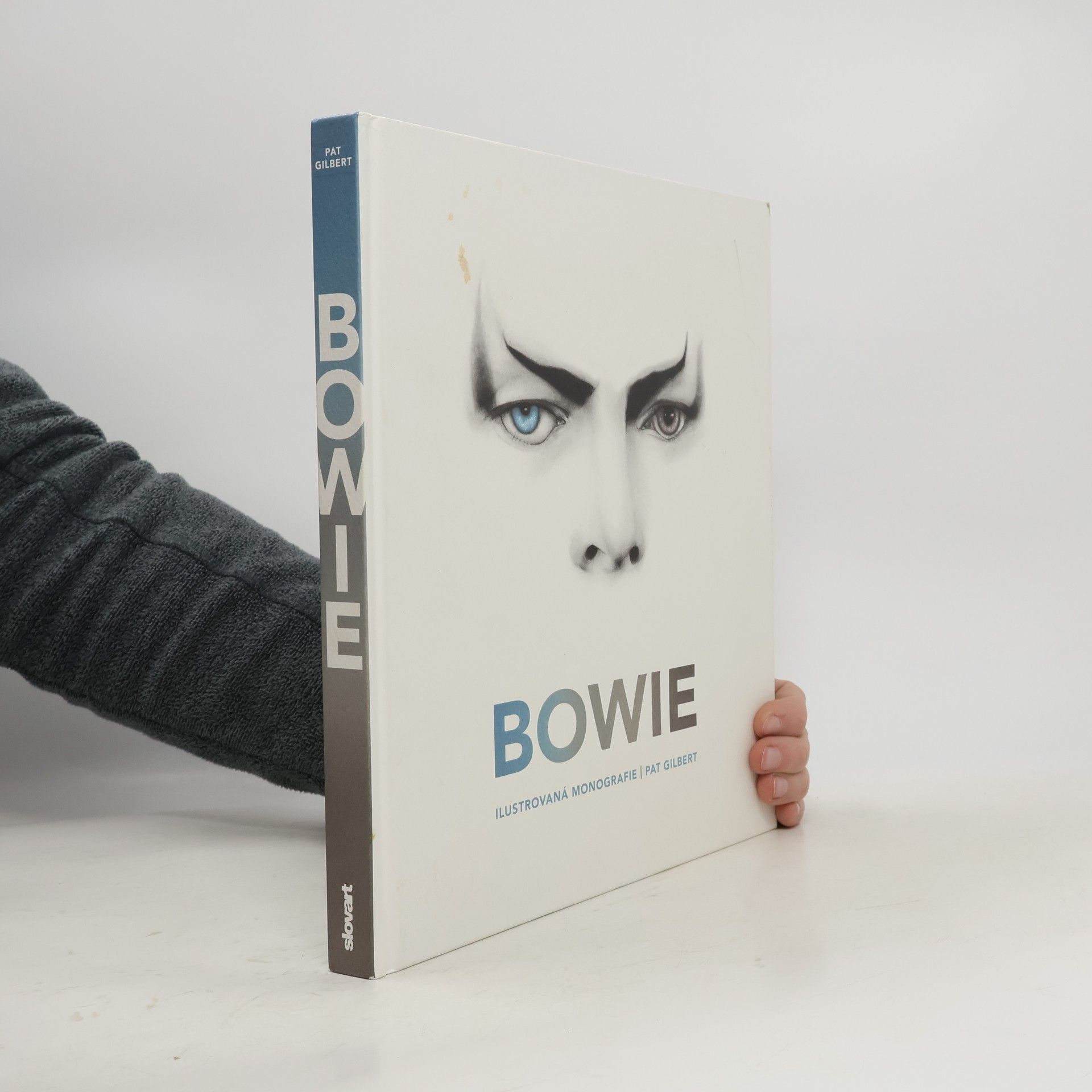 Pat Gilbert Bowie: Ilustrovaná monografie