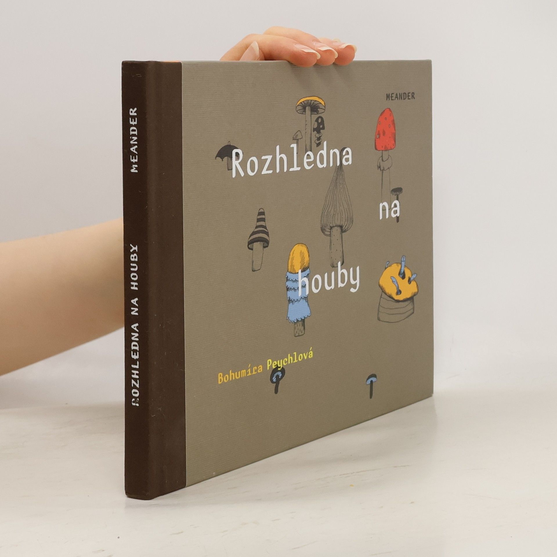 Bohumíra Peychlová Rozhledna na houby