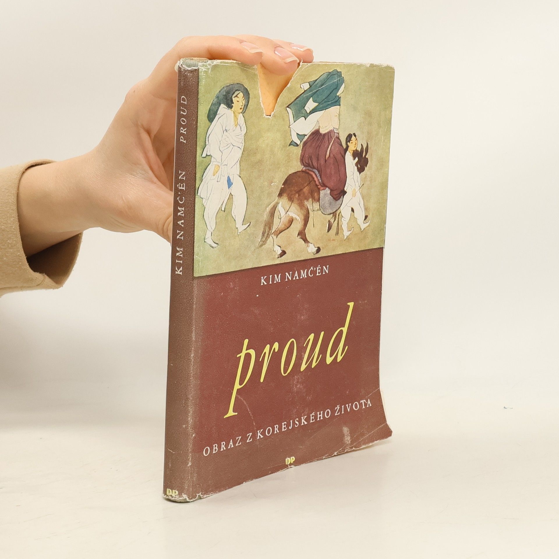 Kim Namčen Proud. Obraz z korejského života